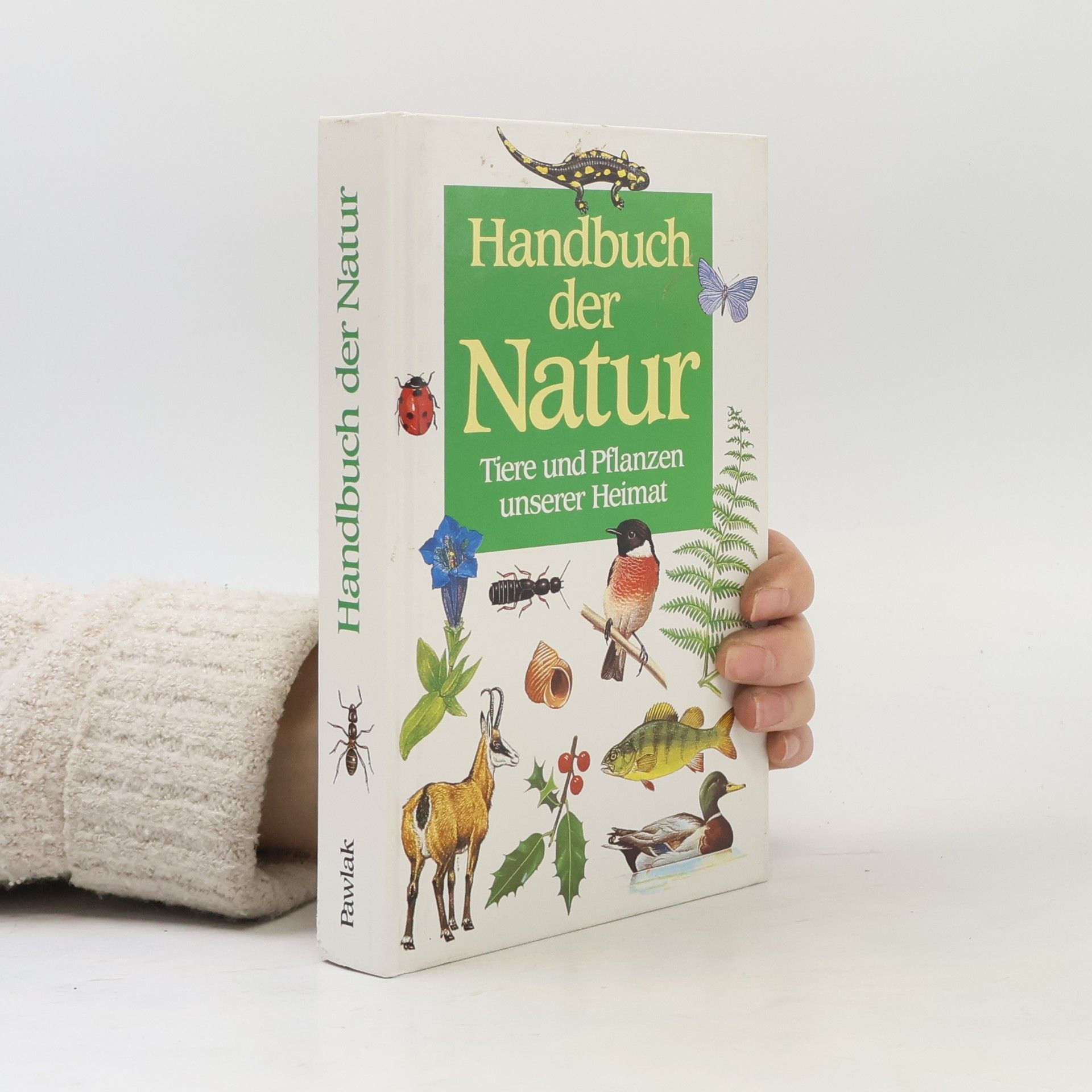 Marcus Würmli Handbuch der Natur