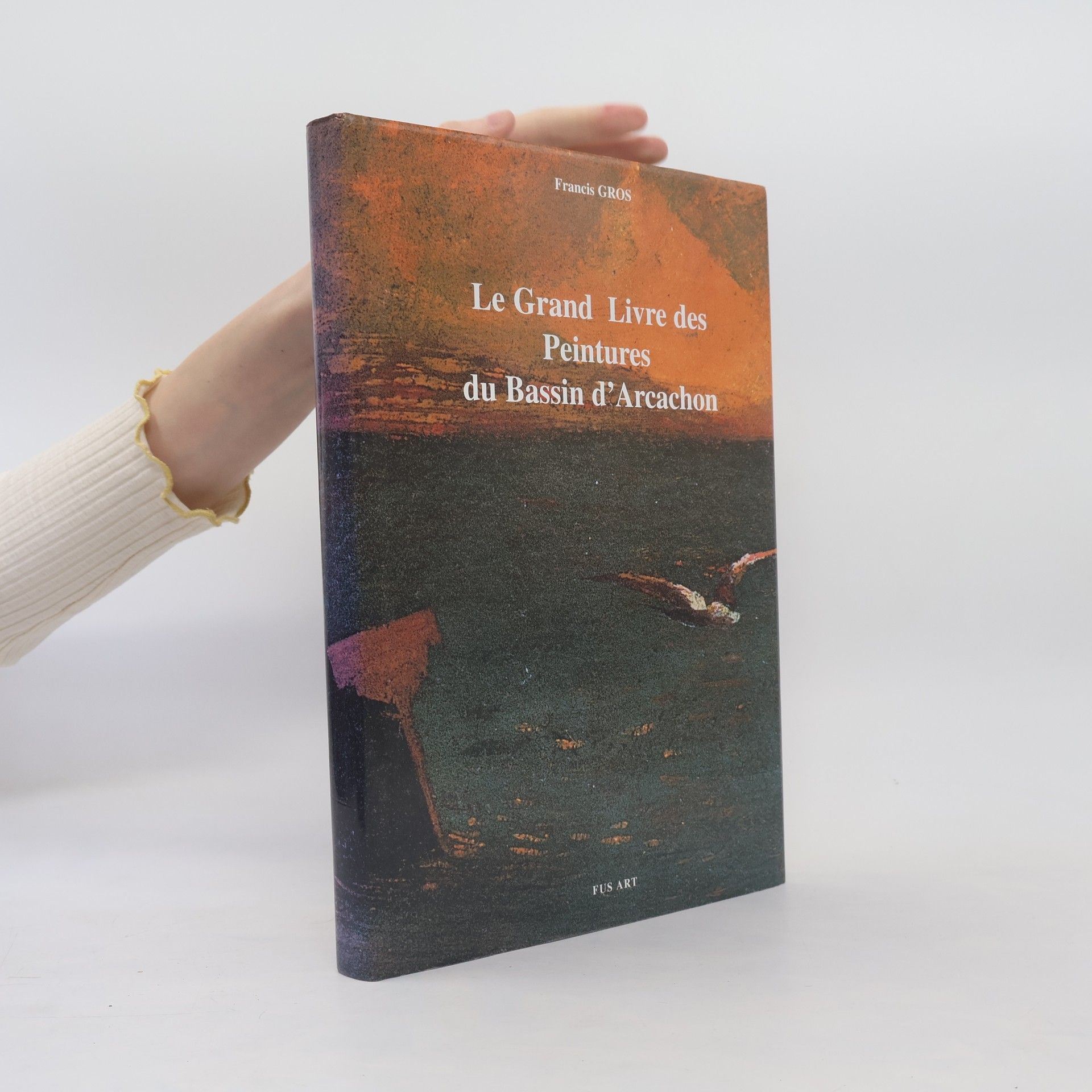Francis Gros Le Grand Livre des Peintures du Bassin d´Arcachon