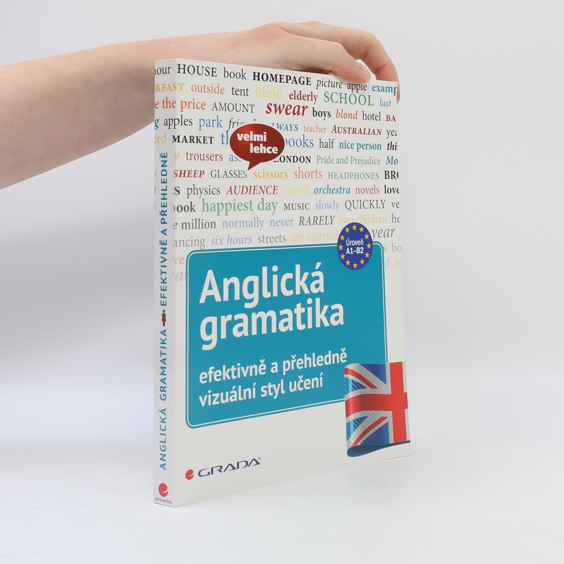 Martin Lutz Anglická gramatika - efektivně a přehledně