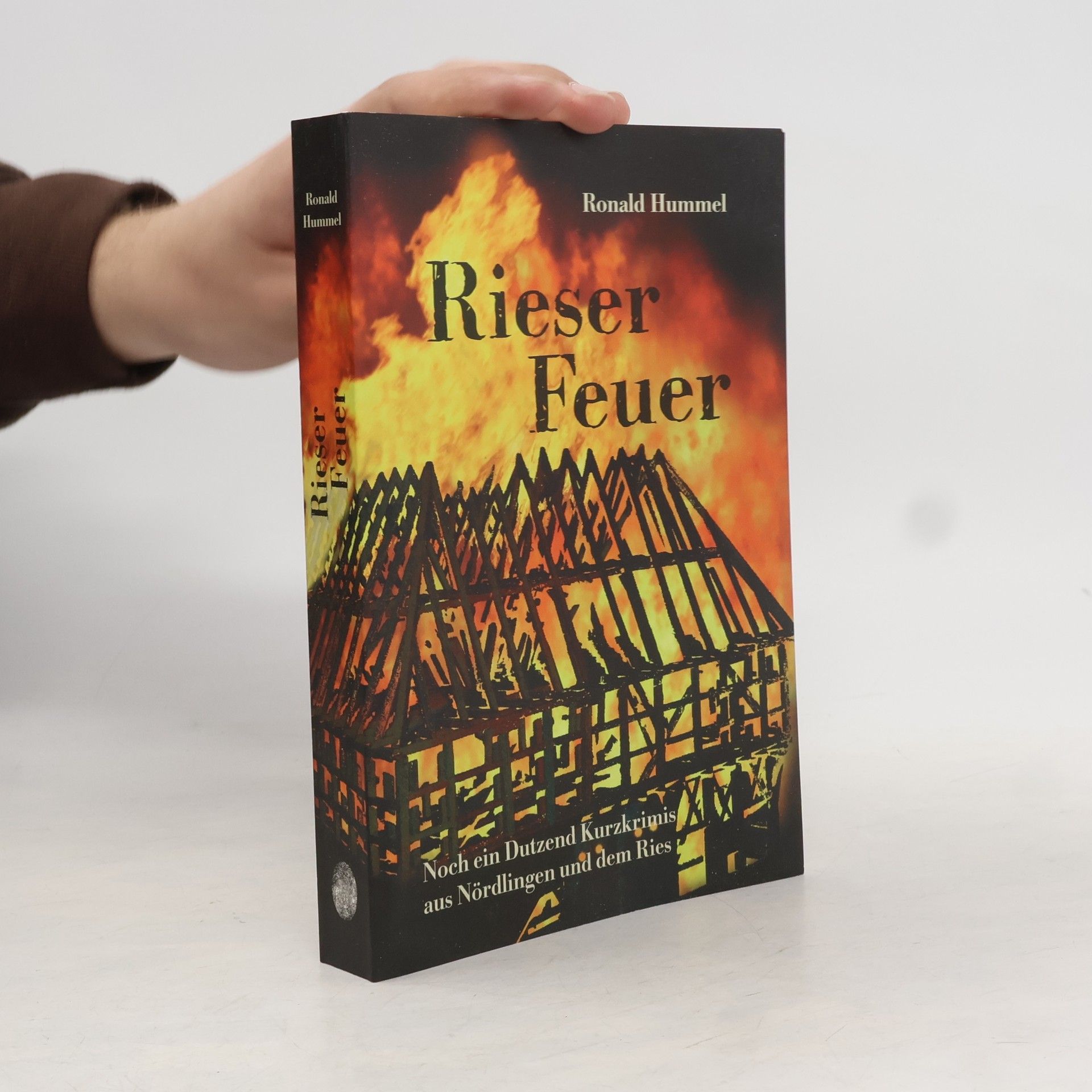 Ronald Hummel Rieser Feuer. Noch ein Dutzend Kurzkrimis aus Nördlingen und dem Ries