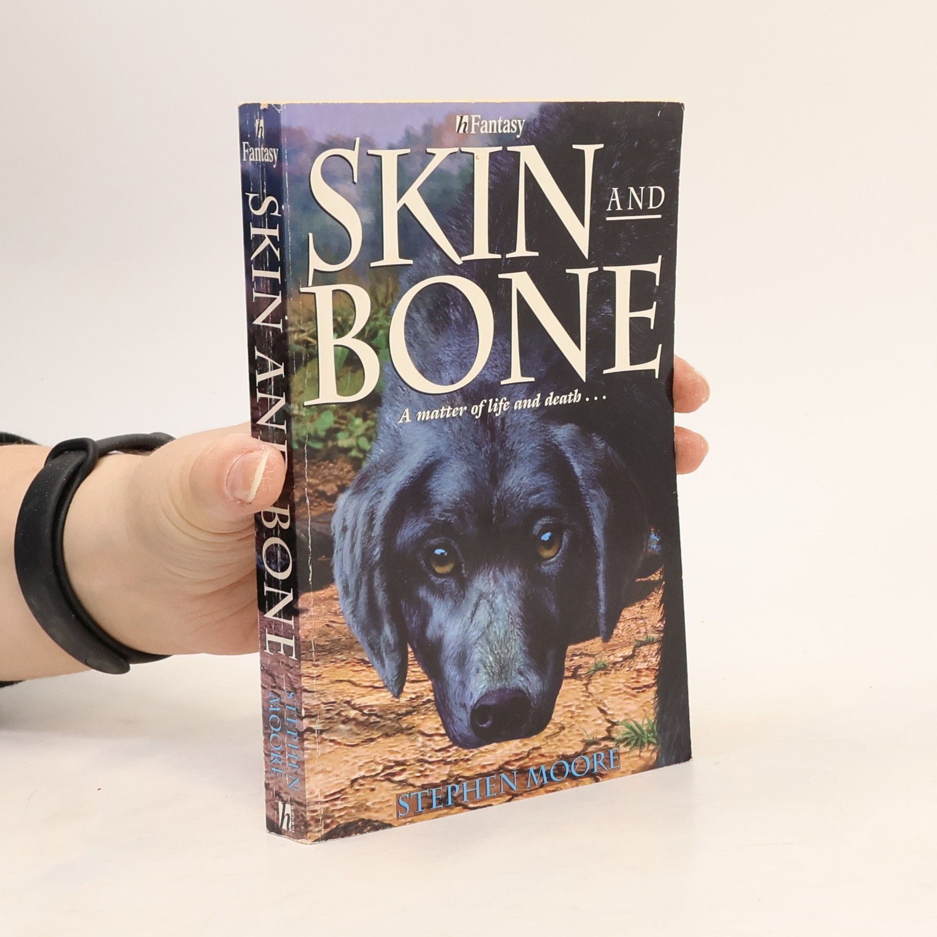 Stephen Moore Skin and Bone
