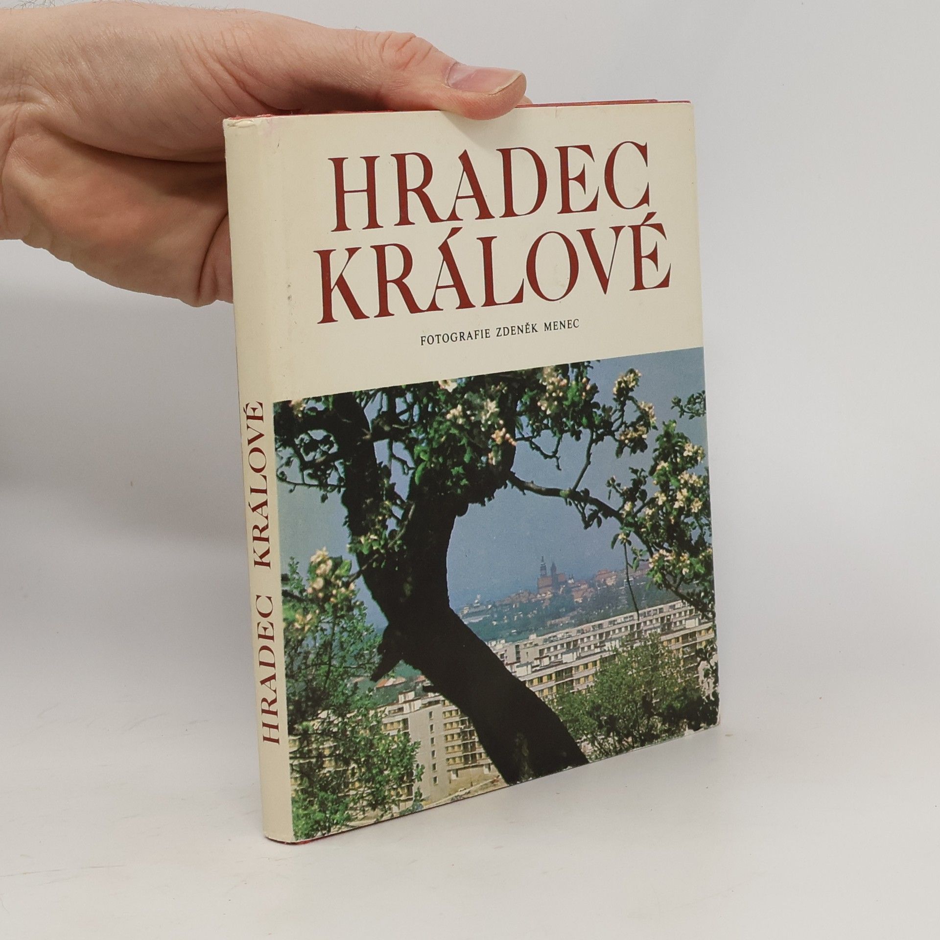 Zdeněk Menec Hradec Králové