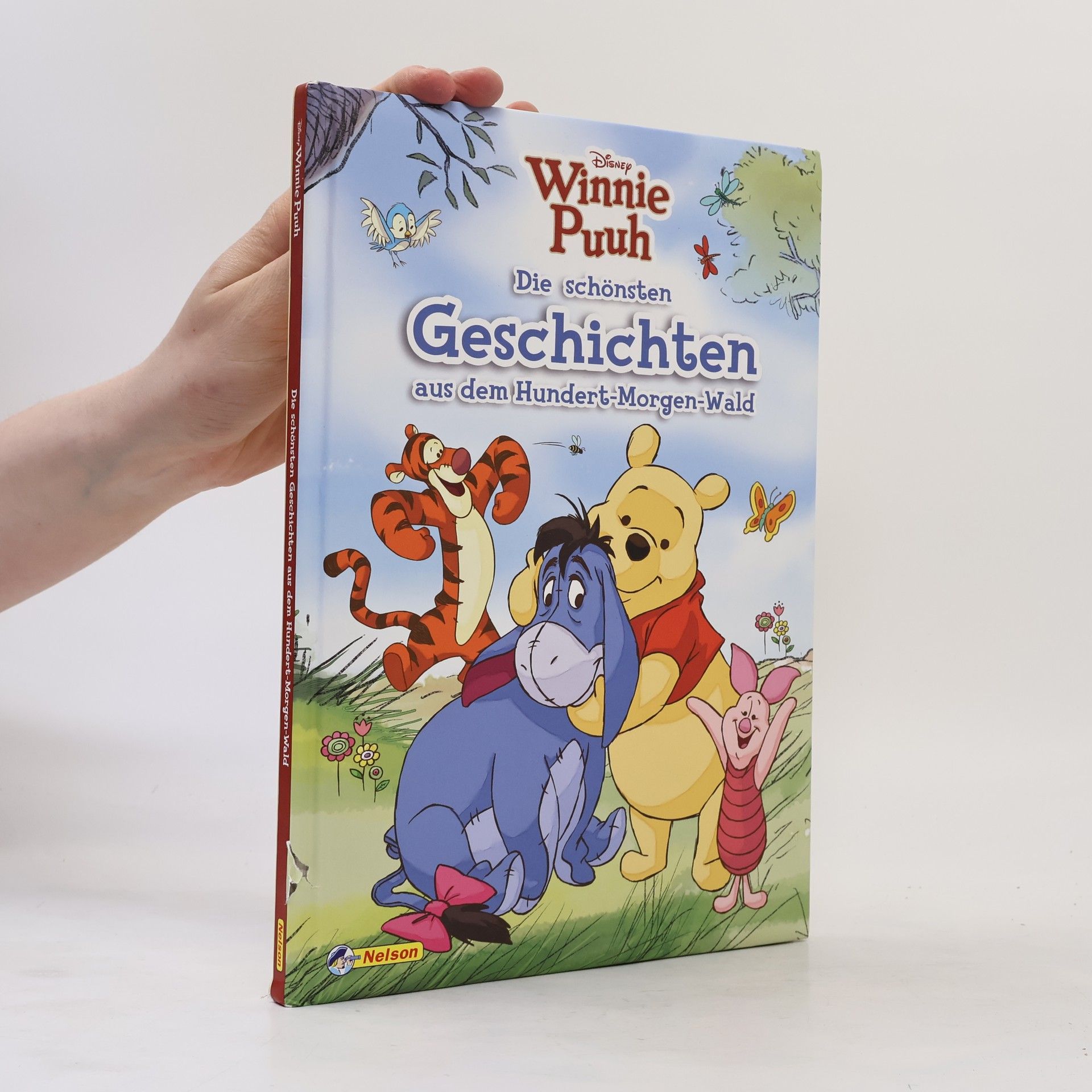 Collectif d'auteurs Winnie Puuh - die schönsten Geschichten aus dem Hundert-Morgen-Wald