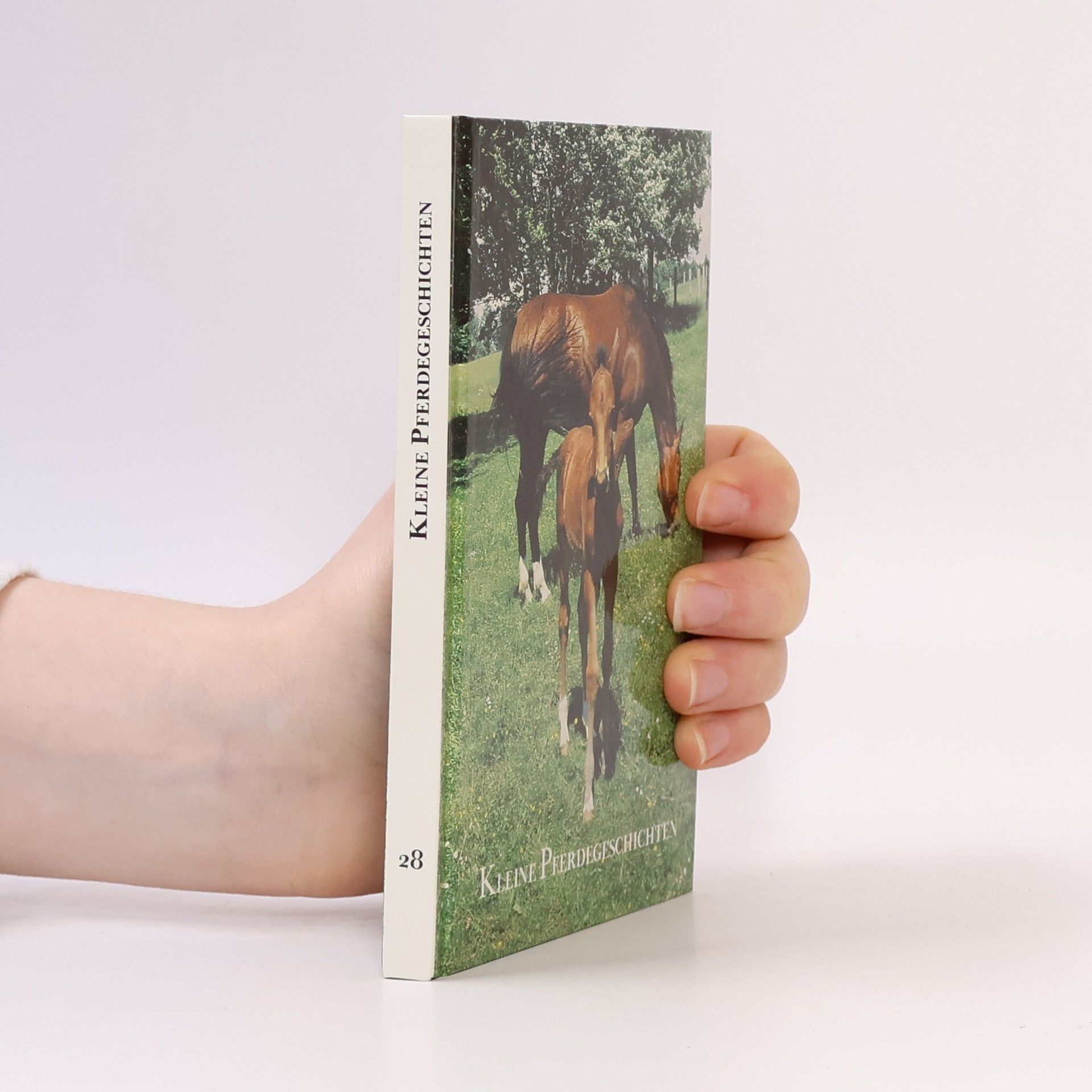 Kolektiv autorů Kleine Pferdegeschichten