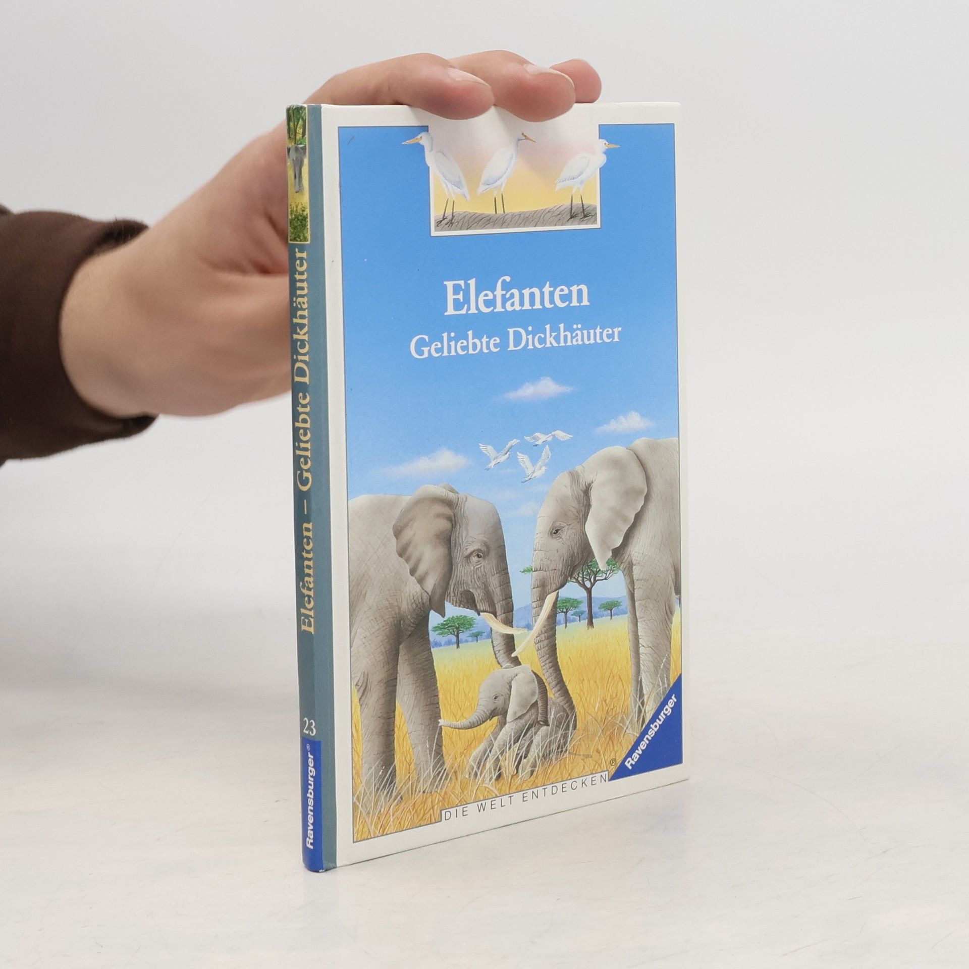 Pierre Pfeffer Elefanten - geliebte Dickhäuter