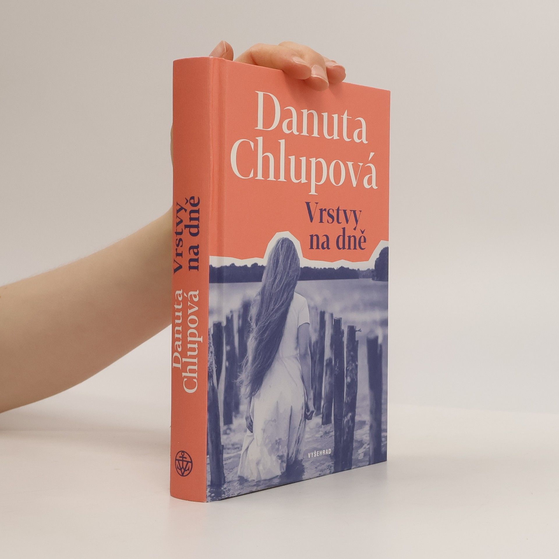 Danuta Chlupová Vrstvy na dně