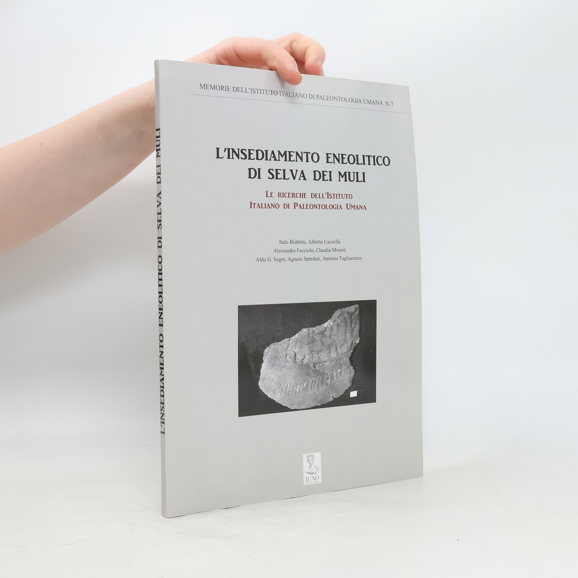 Autorenkollektiv L'insediamento neolitico di Selva dei Muli. Le ricerche dell'istituto italiano di paleontologia umana