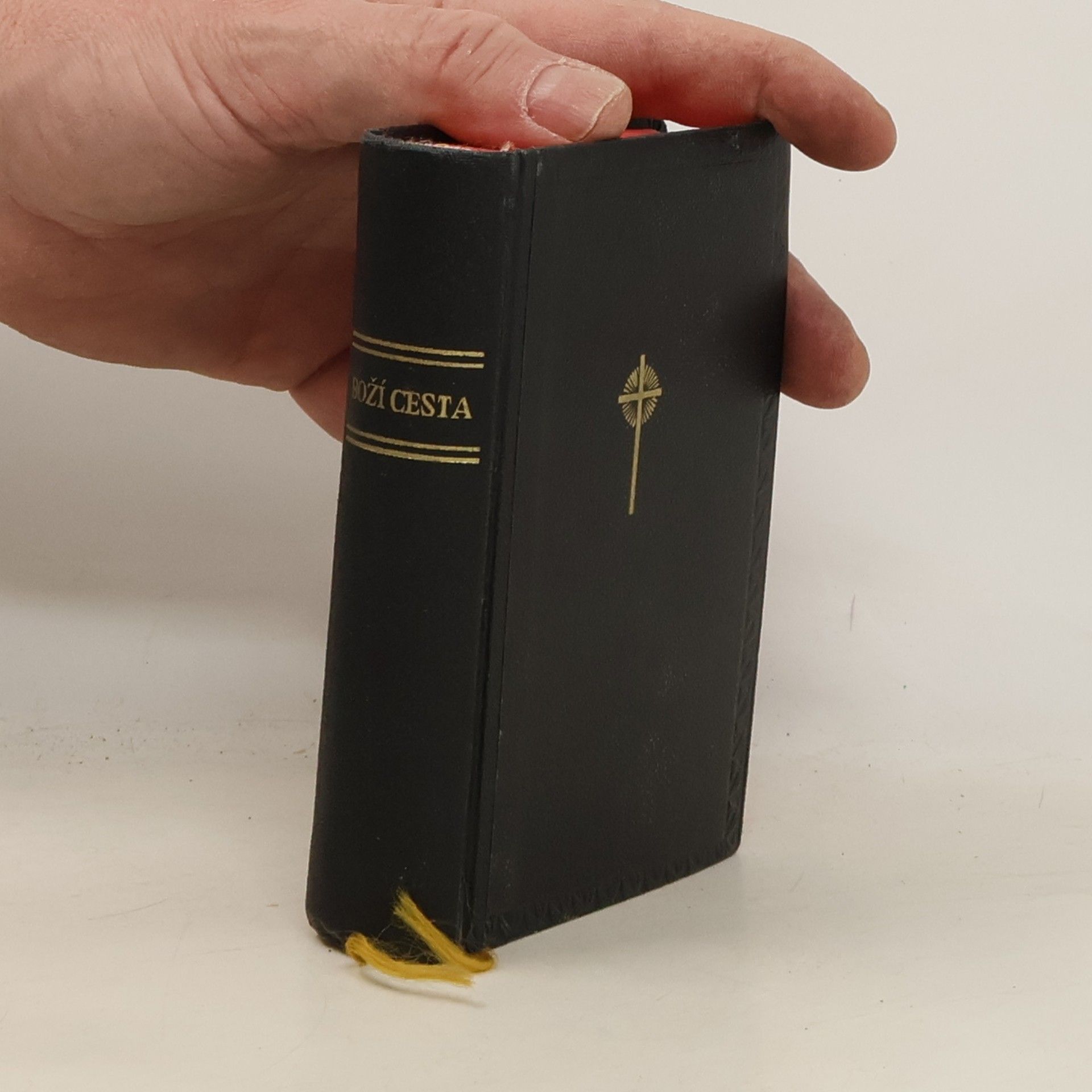 Autorenkollektiv Boží cesta. Písně a modlitby katolického křesťana