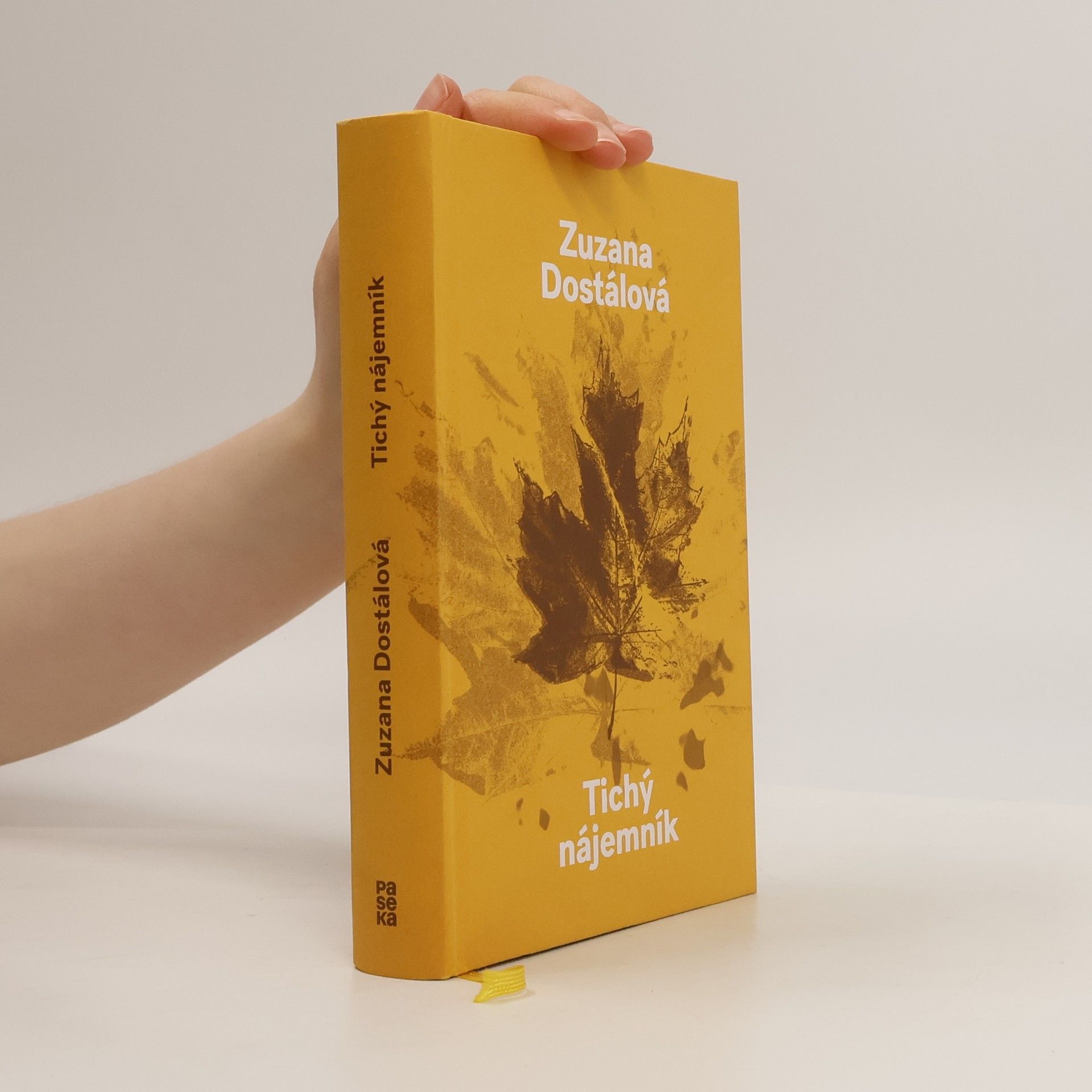Zuzana Dostálová Tichý nájemník