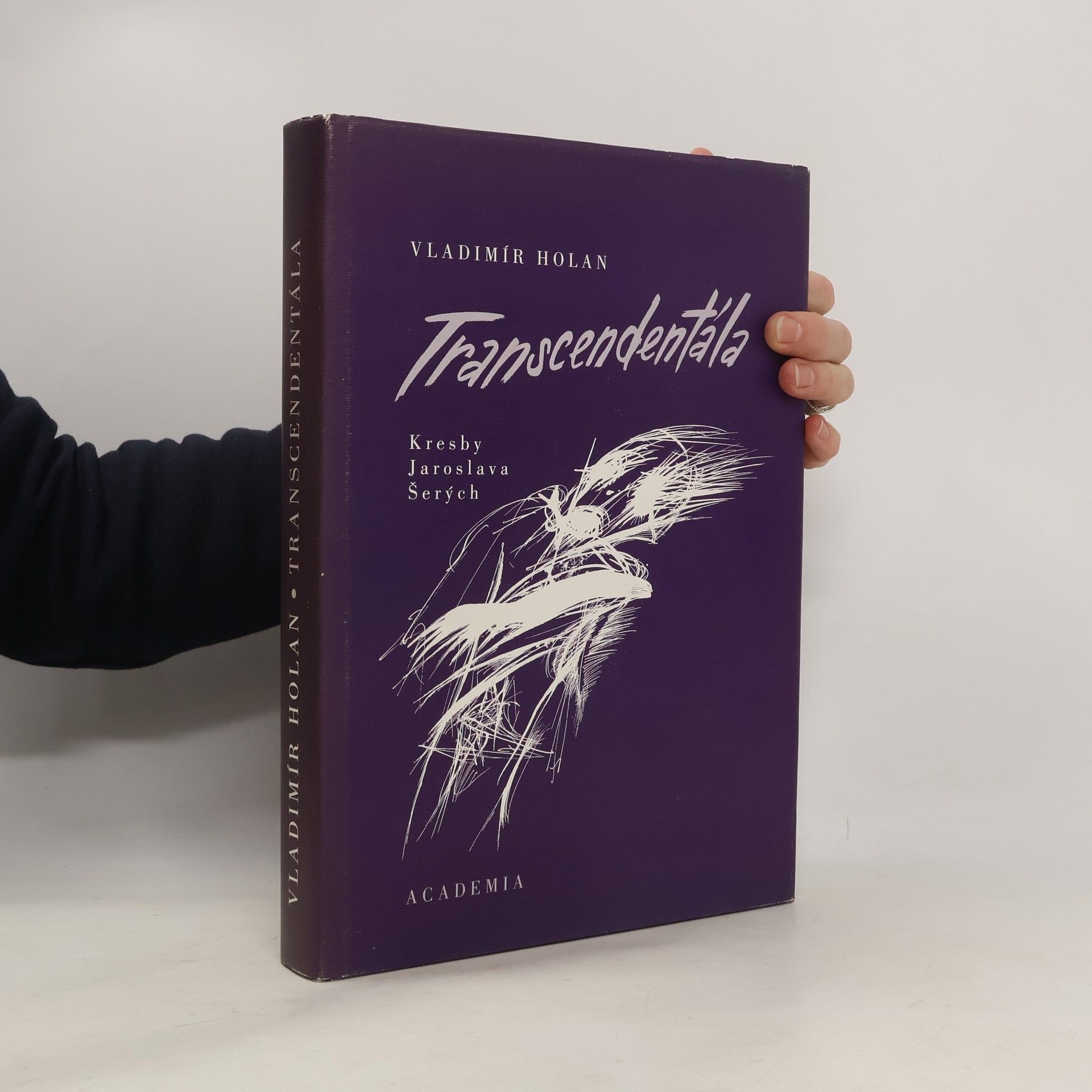 Vladimír Holan Transcendentála: Výbor z díla