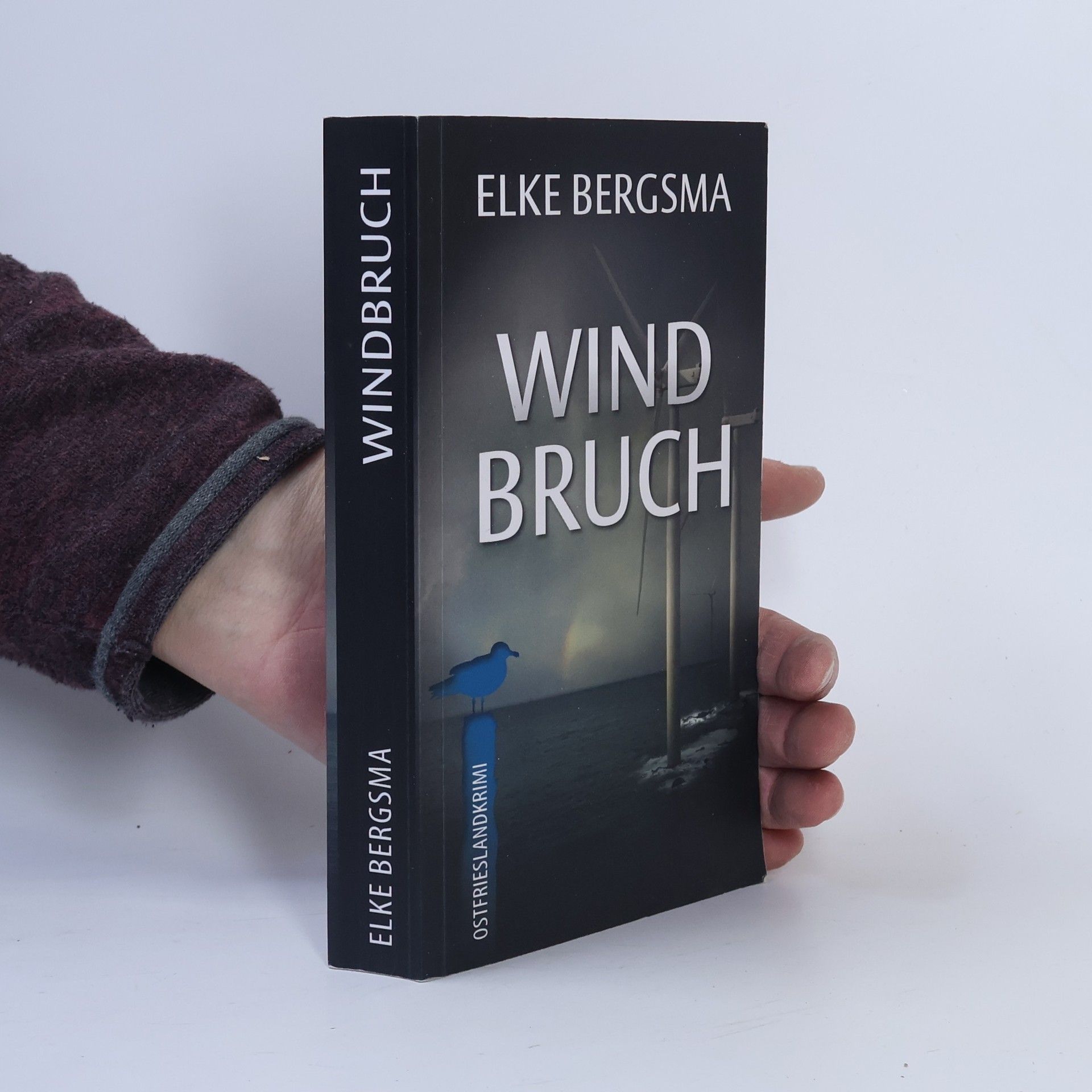 Büttner und Hasenkrug ermitteln: Windbruch - Ostfrieslandkrimi