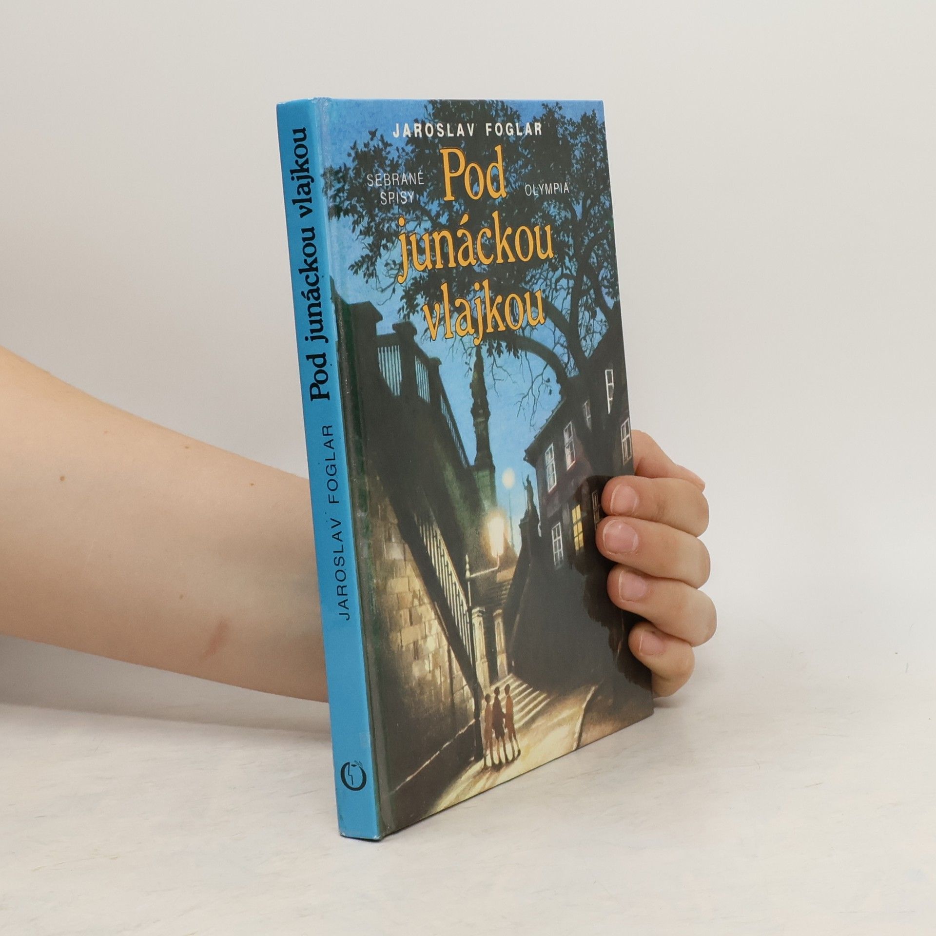 Pod junáckou vlajkou