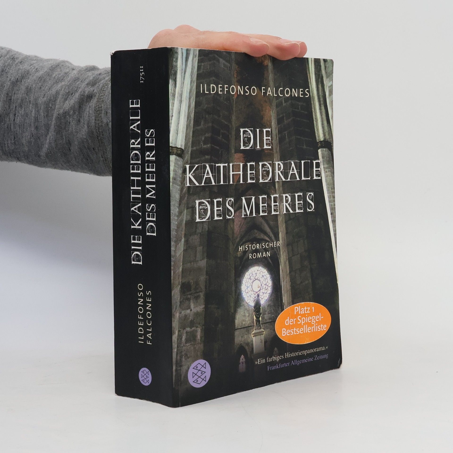 Ildefonso Falcones Die Kathedrale des Meeres