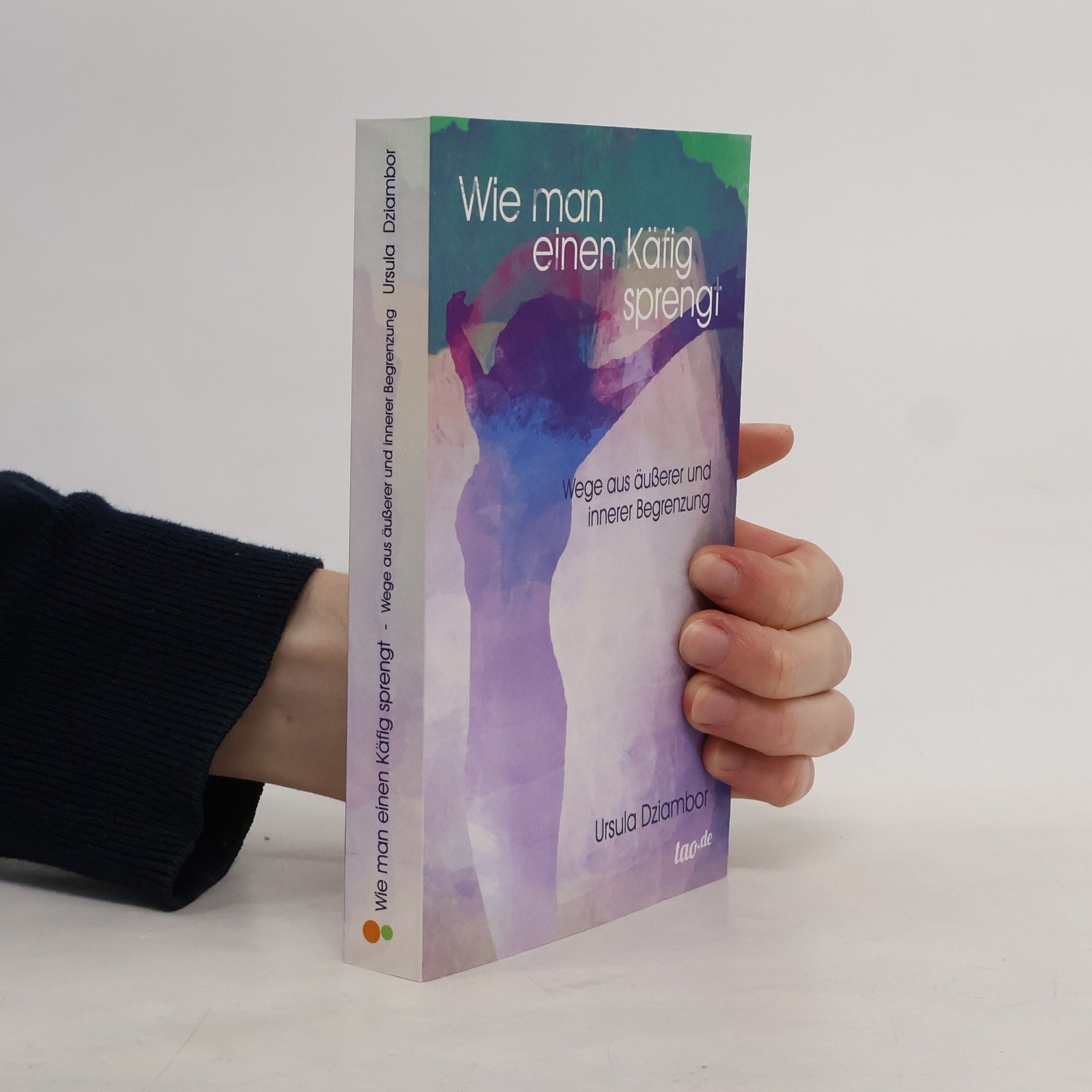 Ursula Dziambor Wie man einen Käfig sprengt. Wege aus äußerer und innerer Begrenzung