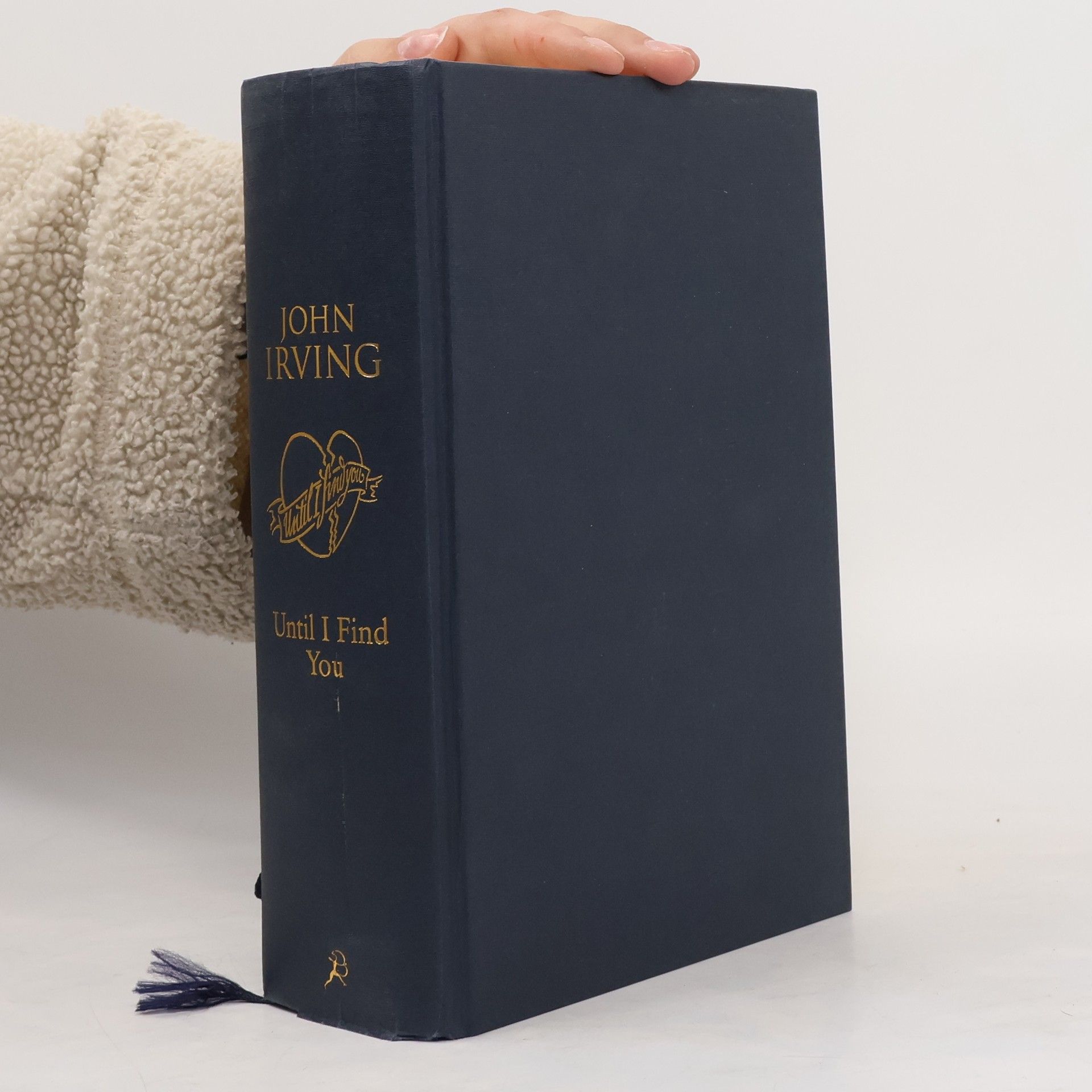 John Irving Until I Find You