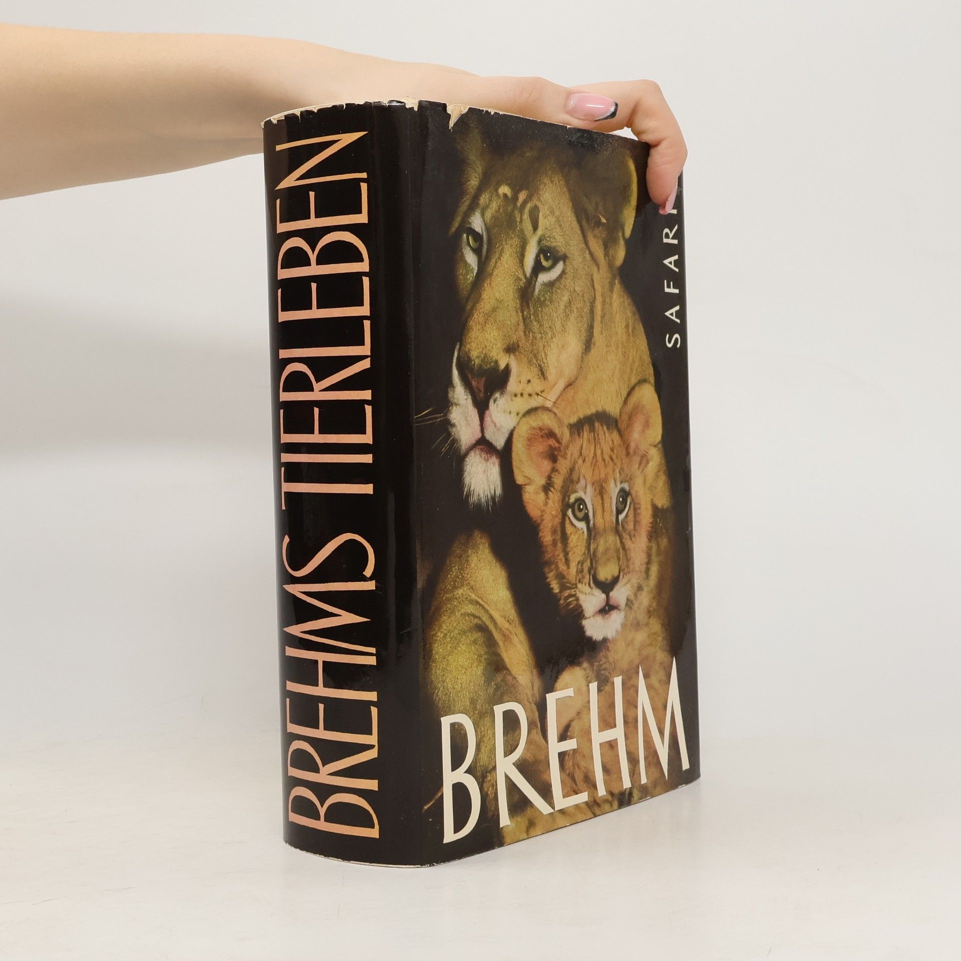 Collectif d'auteurs Brehms Tierleben