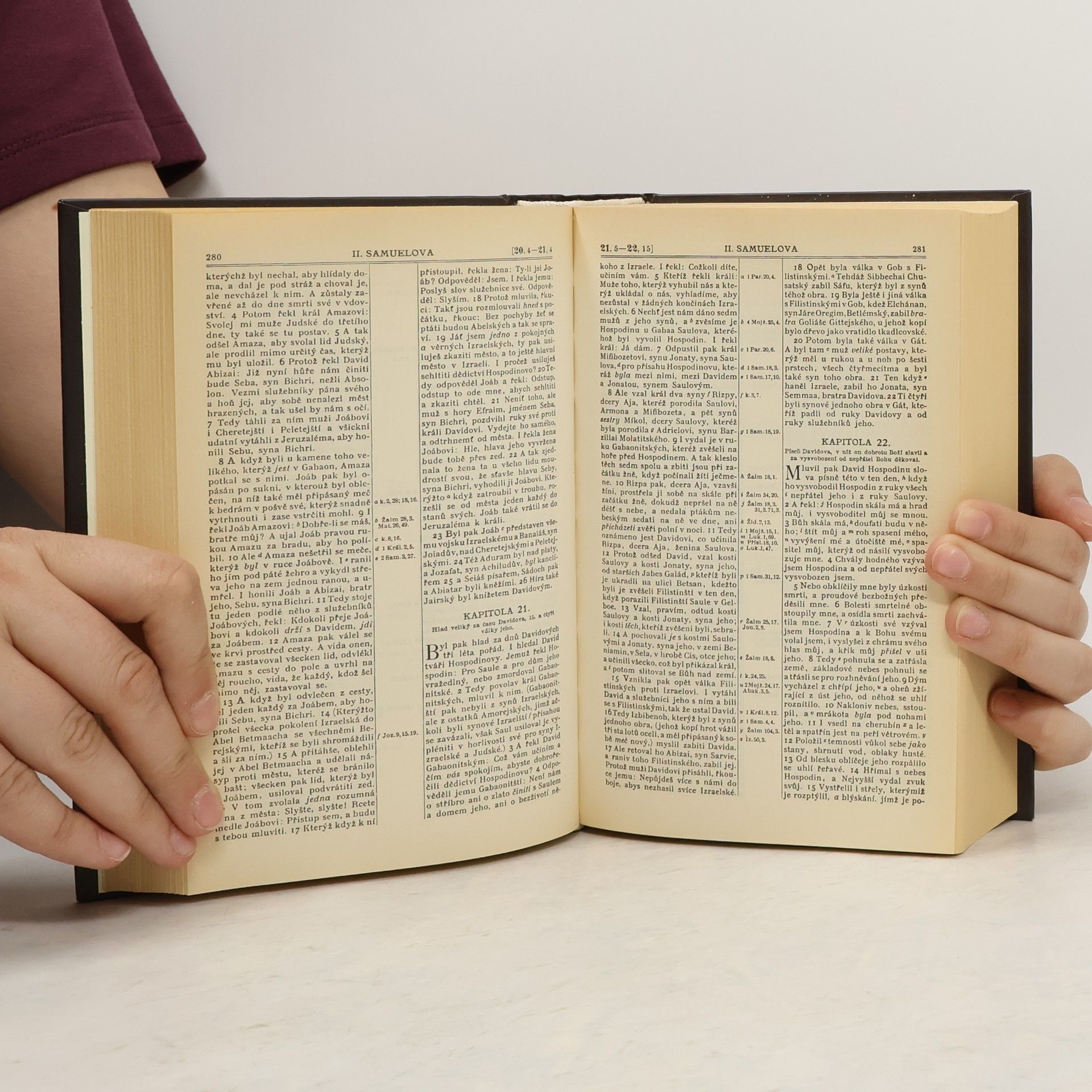 Kolektiv autorů Bible svatá aneb všecka svatá písma Starého i Nového zákona
