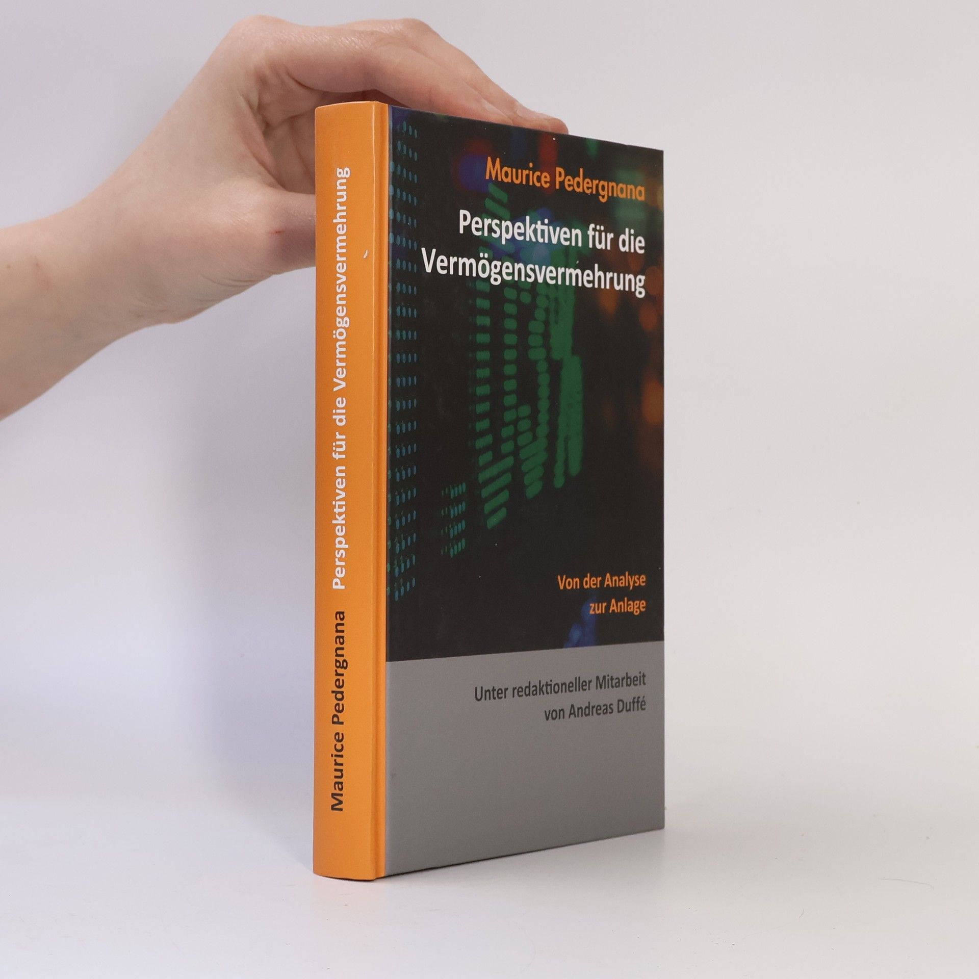 Maurice Pedergnana Perspektiven für die Vermögensvermehrung