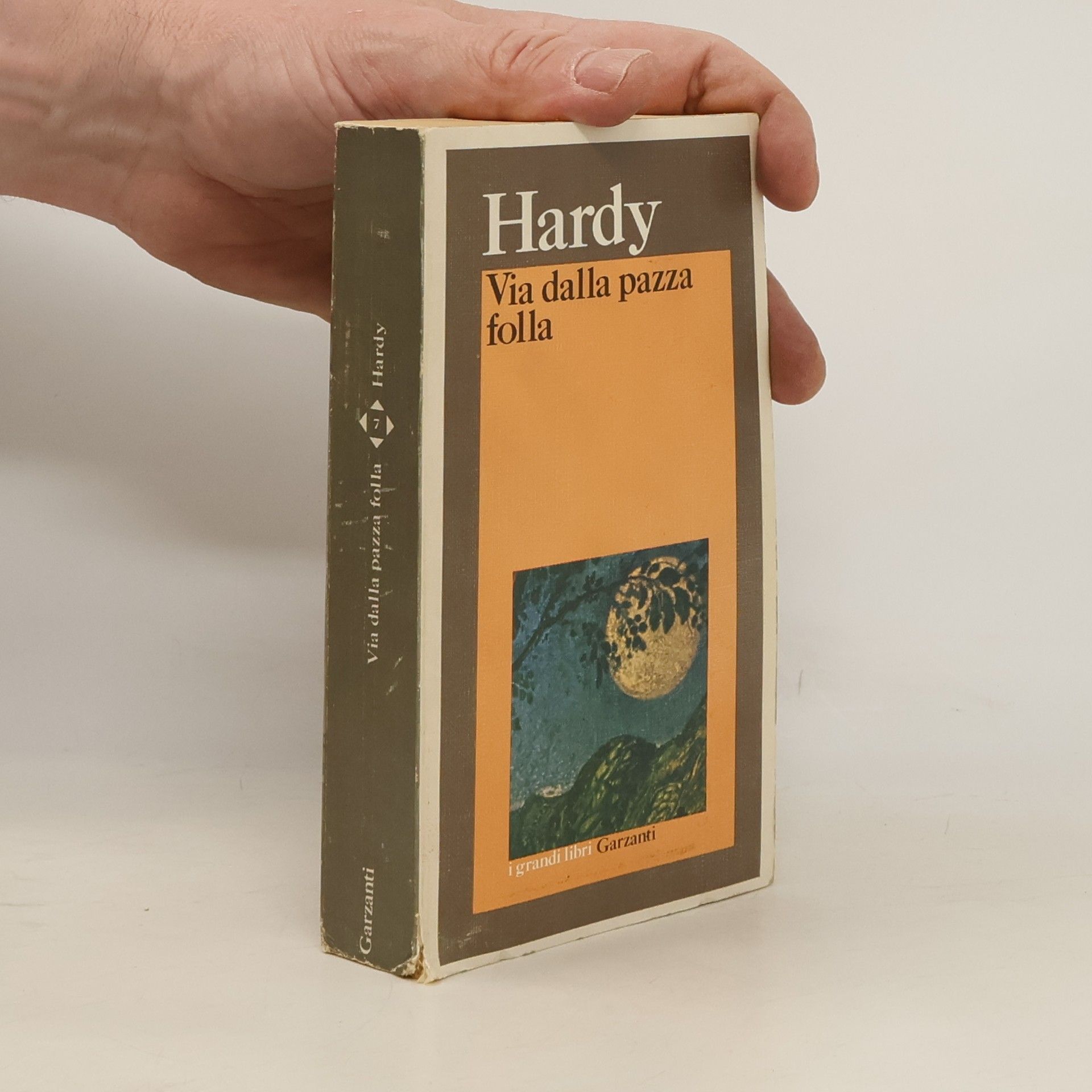 Thomas Hardy Via dalla pazza folla