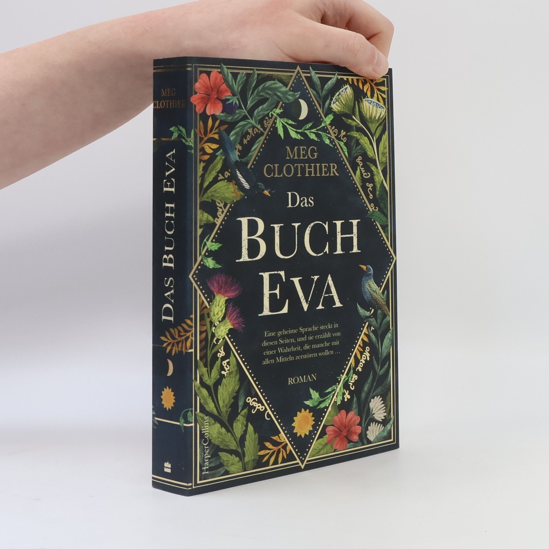 Meg Clothier Das Buch Eva