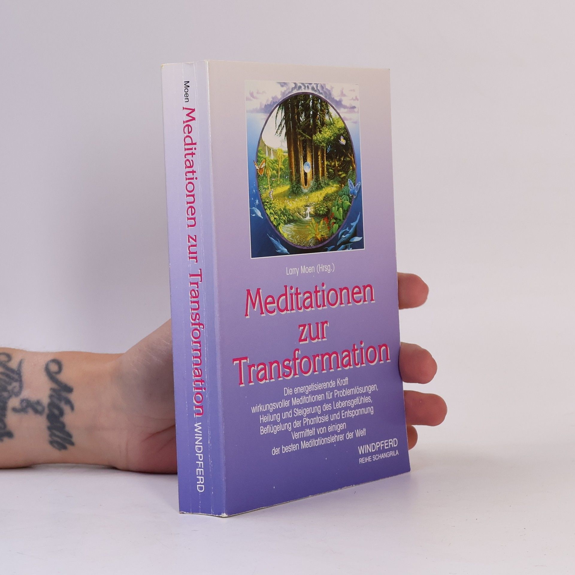 Larry Moen Meditationen zur Transformation