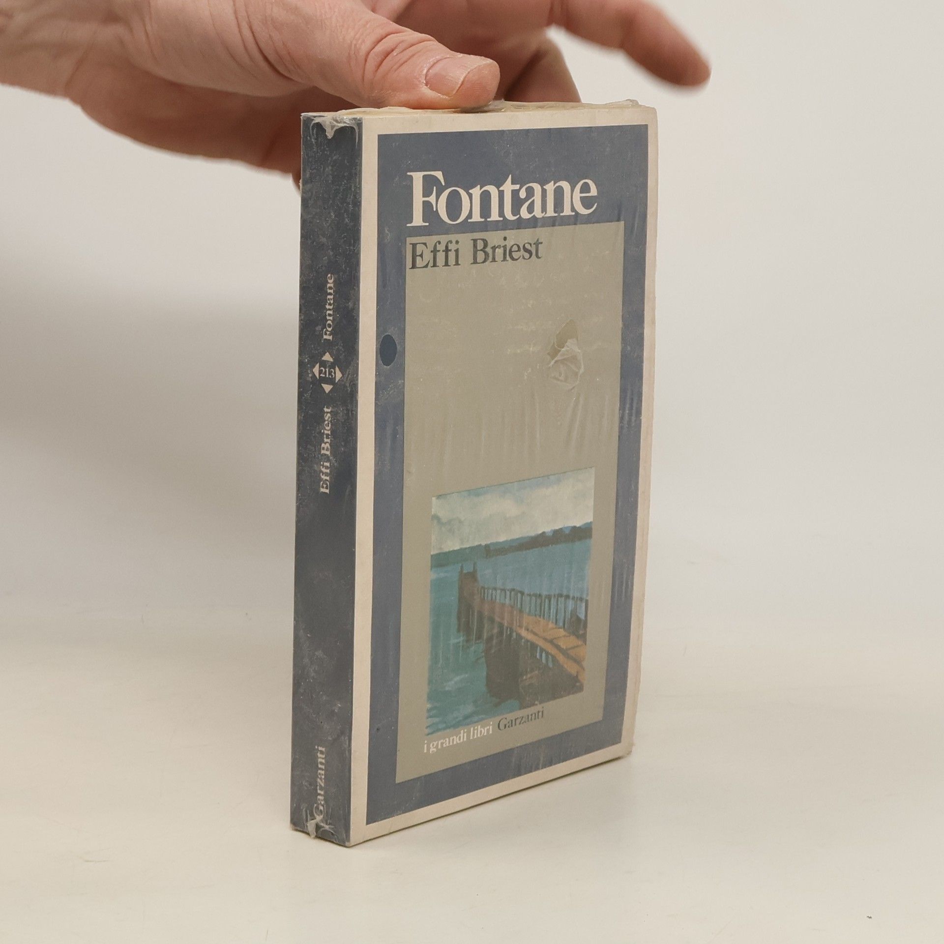 Theodor Fontane Effi Briest