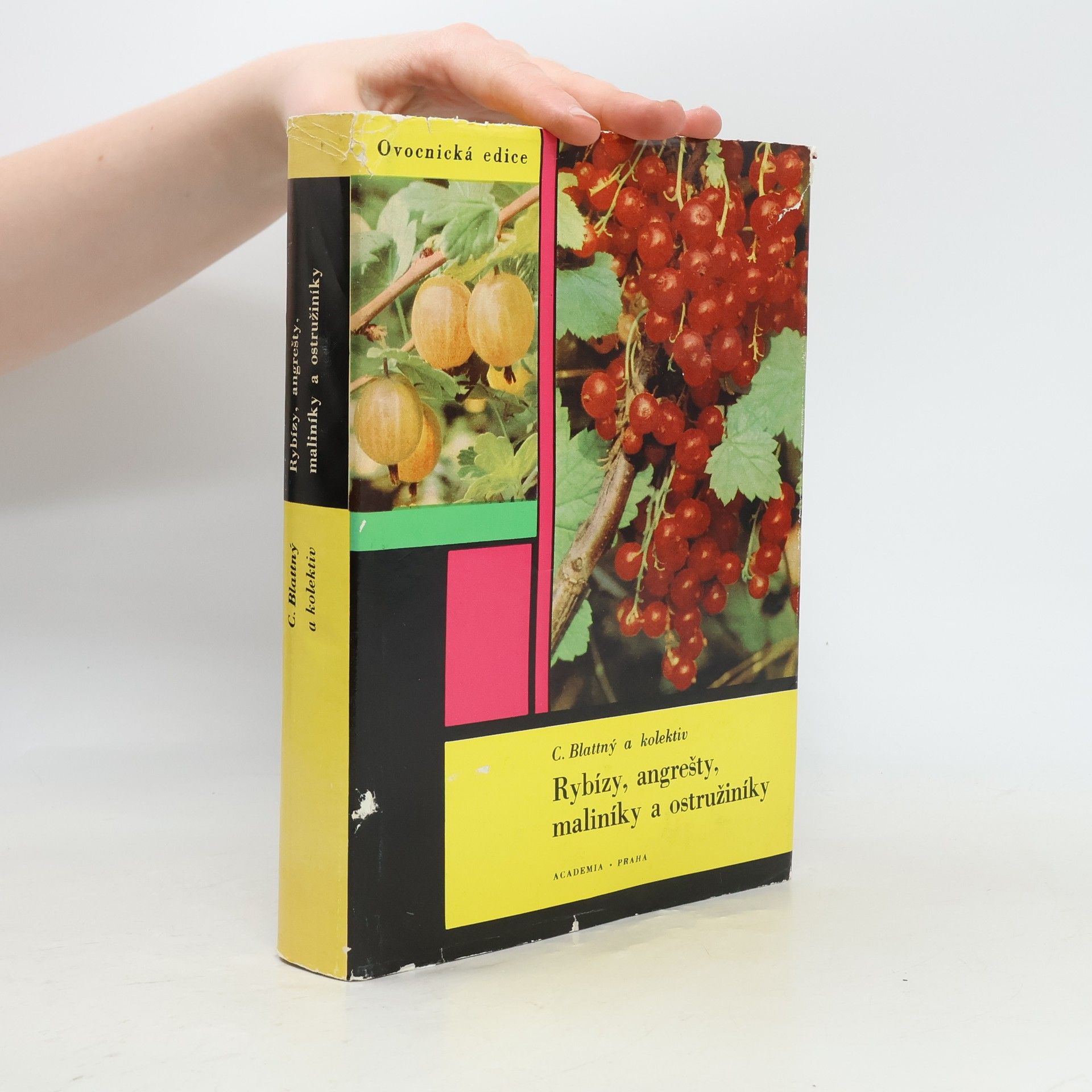 Various authors Rybízy, angrešty, maliníky a ostružiníky