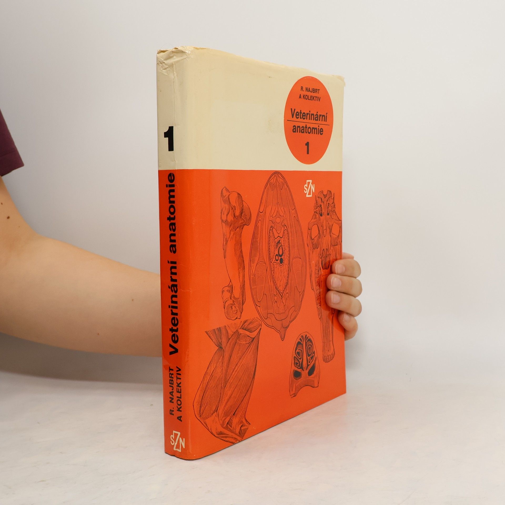 Autorenkollektiv Veterinární anatomie 1