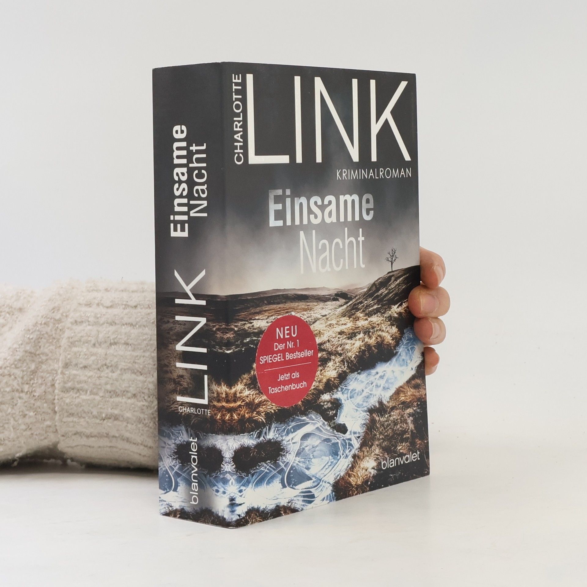 Charlotte Link Einsame Nacht