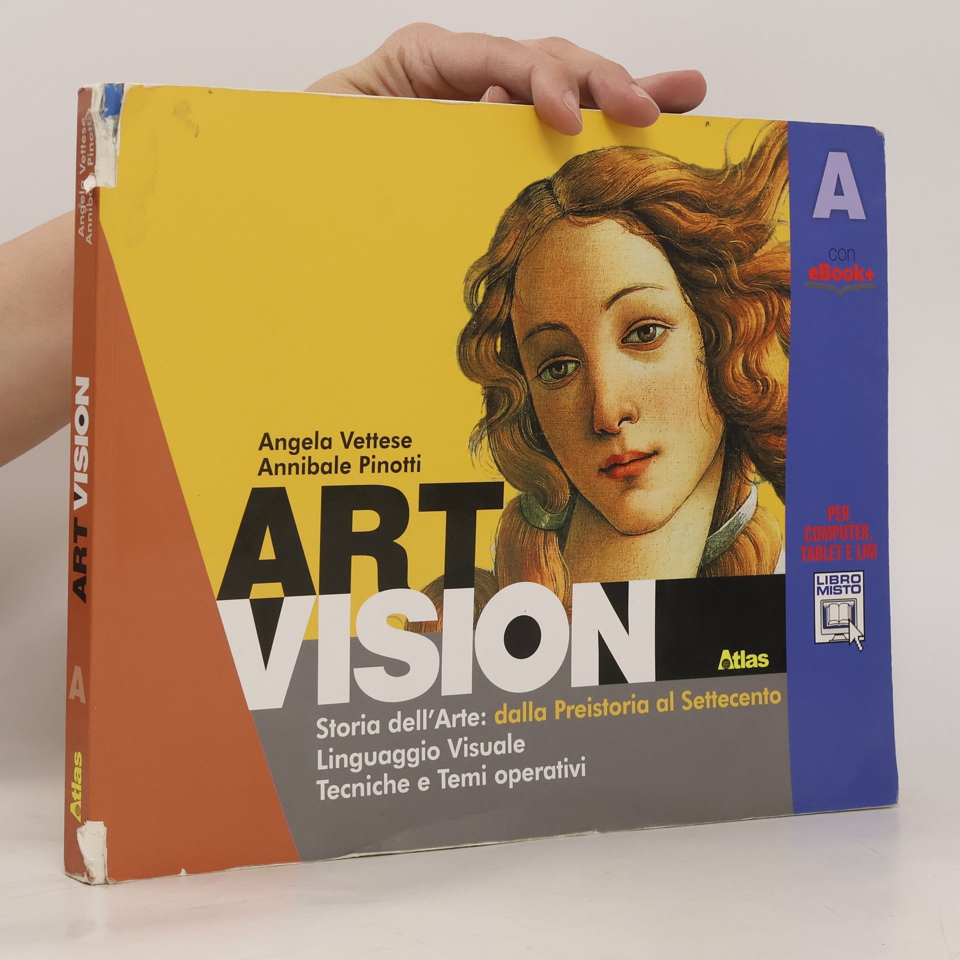 Angela Vettese Art Vision A