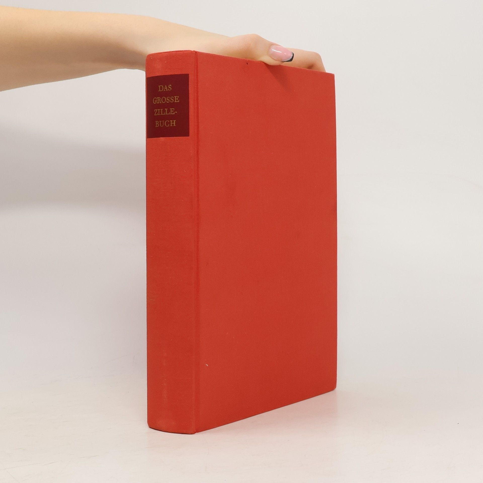 Heinrich Zille Das grosse Zillebuch