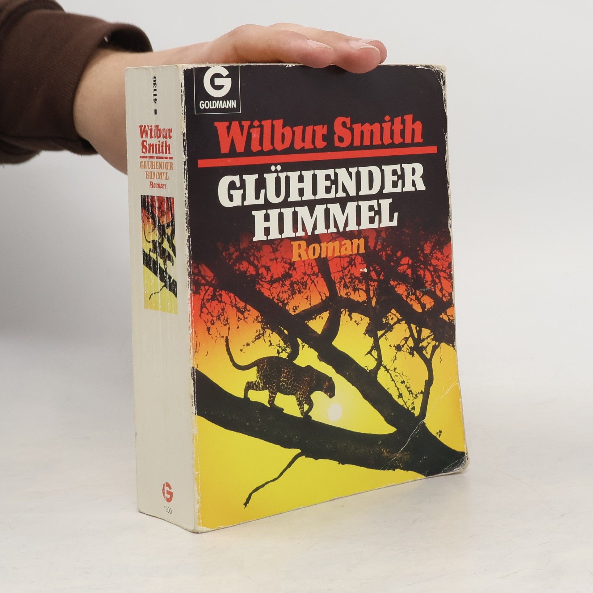 Wilbur Smith Glühender himmel