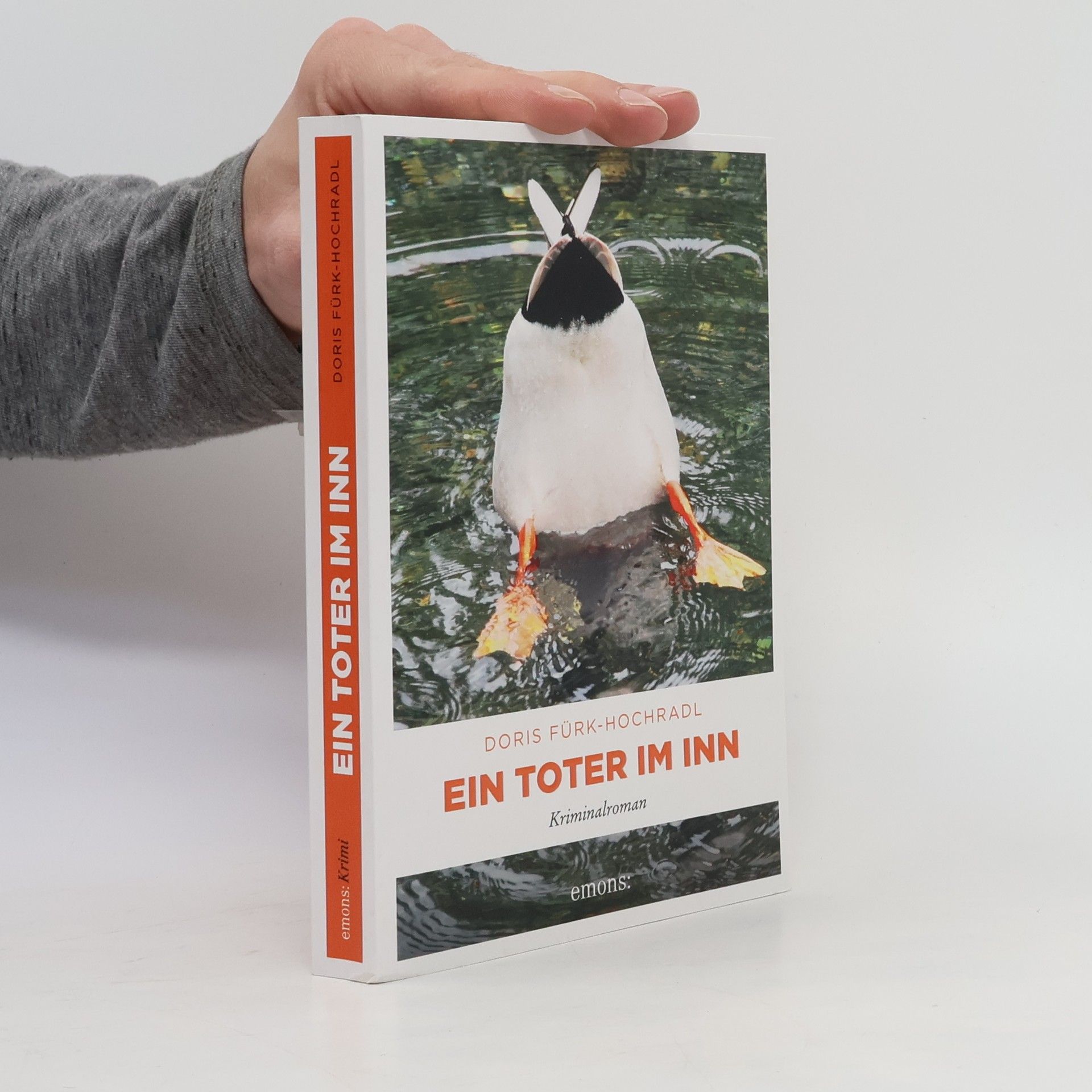 Doris Fürk-Hochradl Ein Toter im Inn