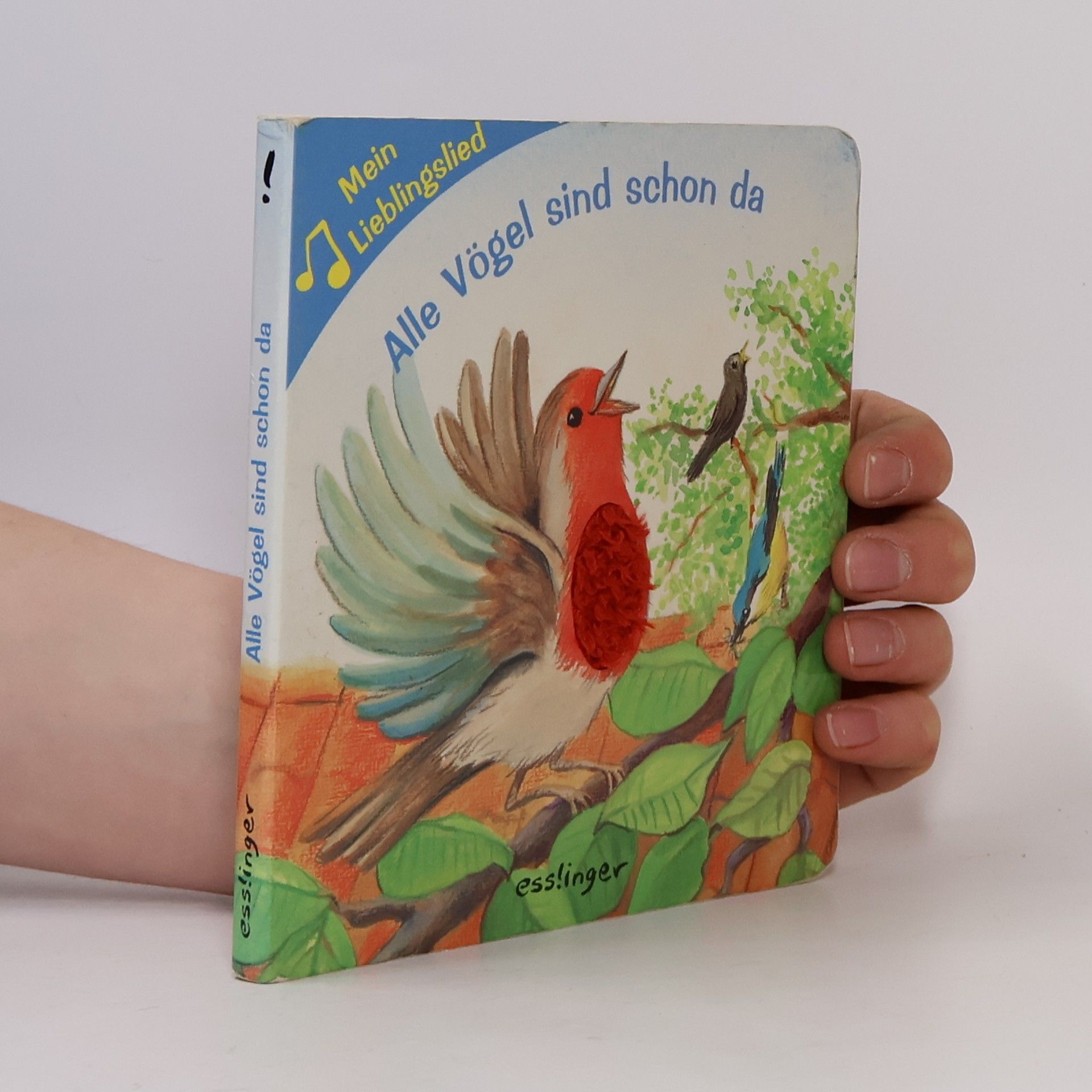 Irene Mohr Alle Vögel sind schon da