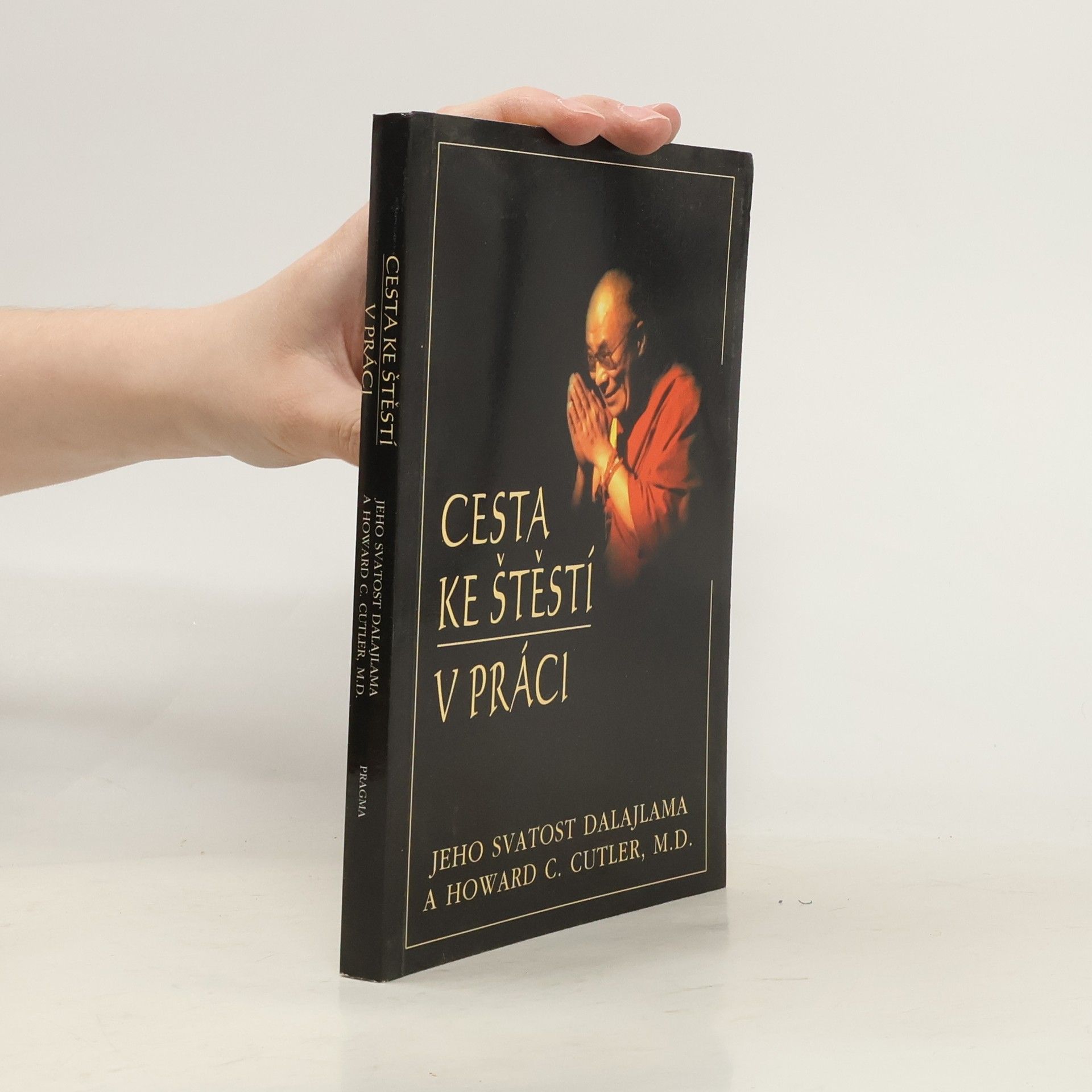 Bstan\'dzinrgyamtsho Cesta ke štěstí v práci