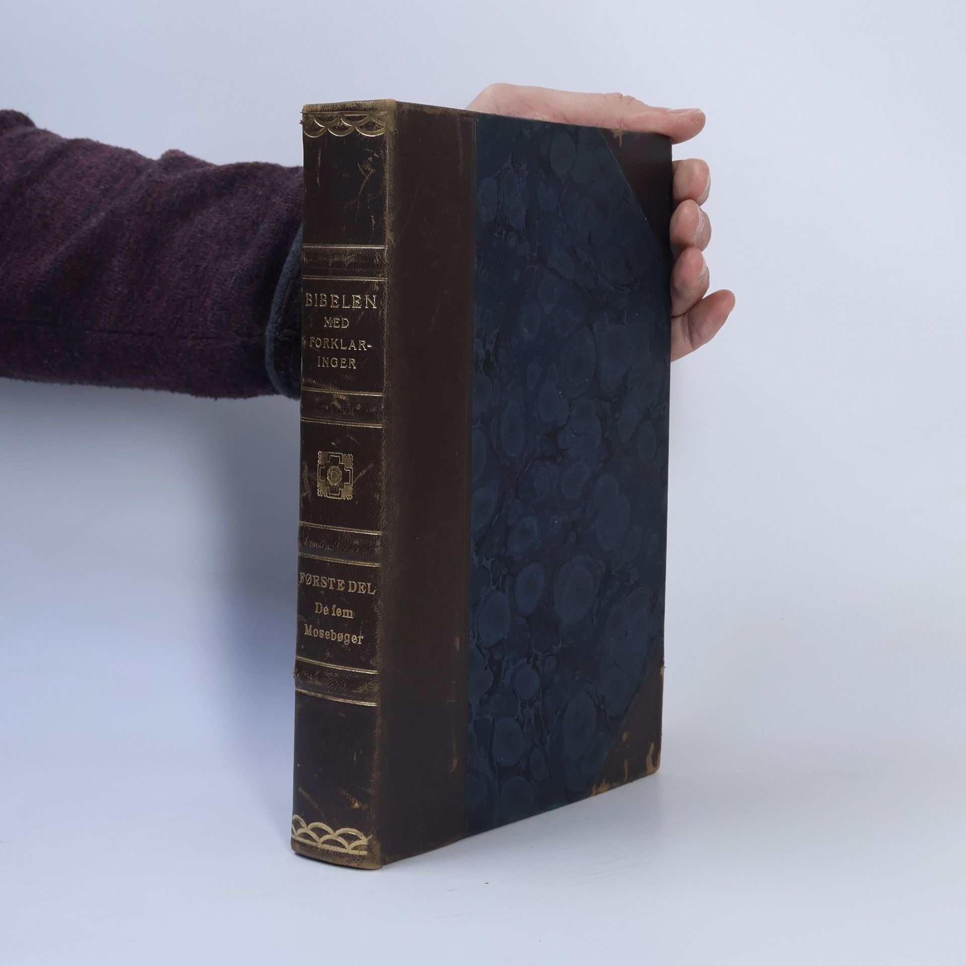 Autorenkollektiv Bibelen med forklaringer