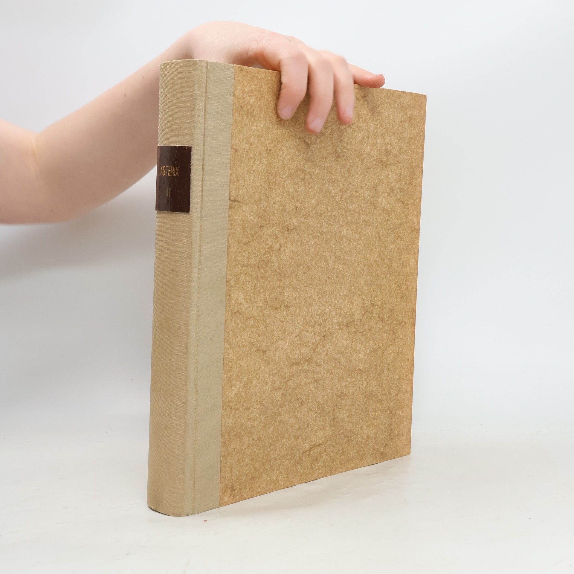 René Goscinny Grosser Asterix X.-XVIII.