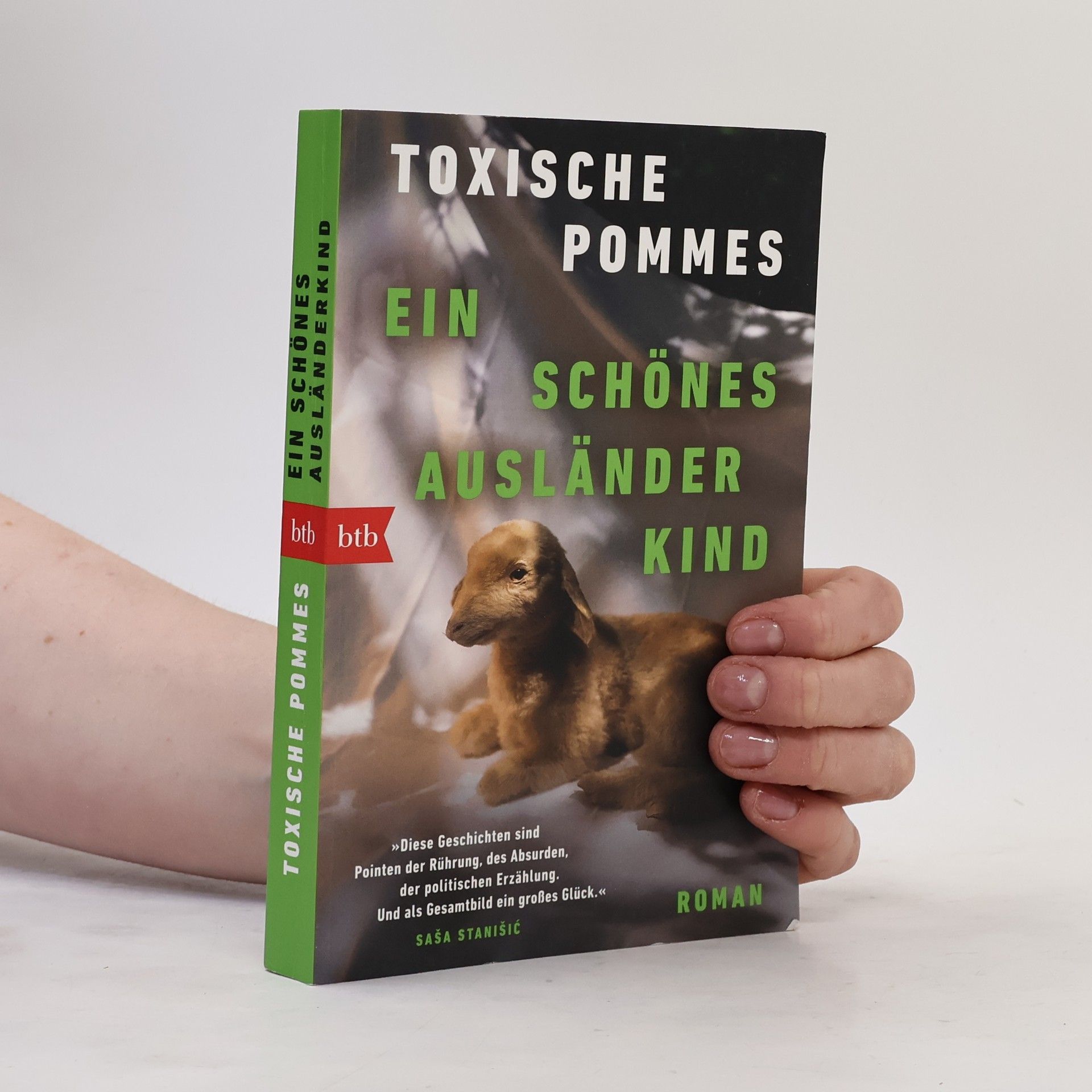 Saša Stanišić Ein schönes Ausländerkind