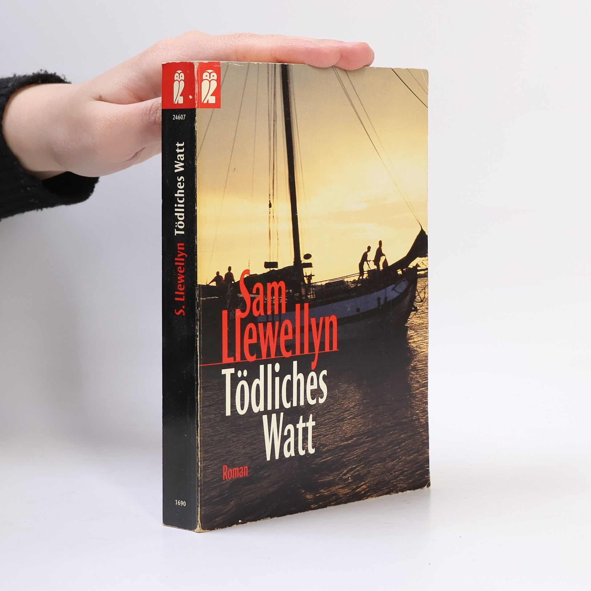 Sam Llewellyn Tödliches Watt