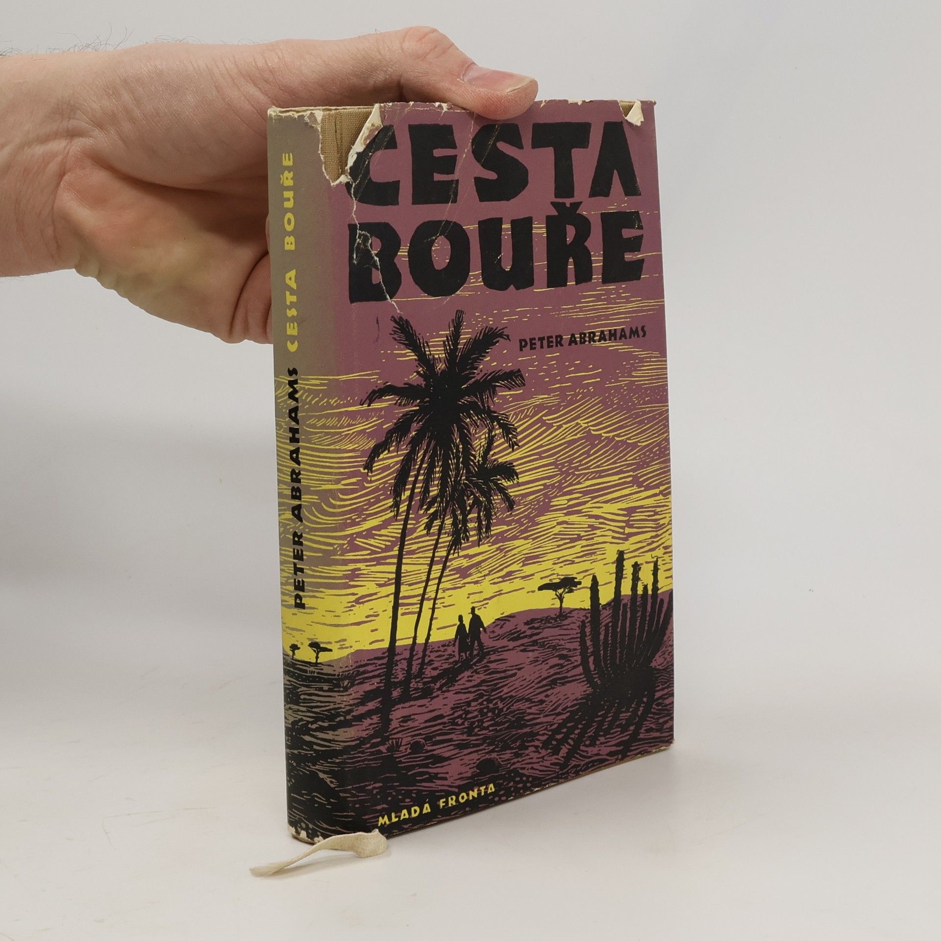 Peter Abrahams Cesta bouře