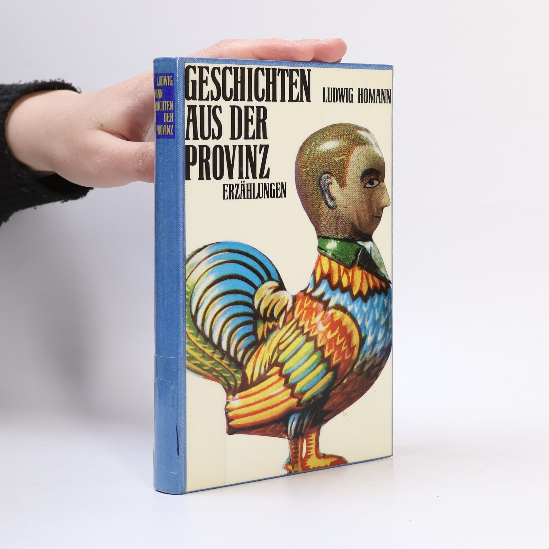 Ludwig Homann Geschichten aus der Provinz