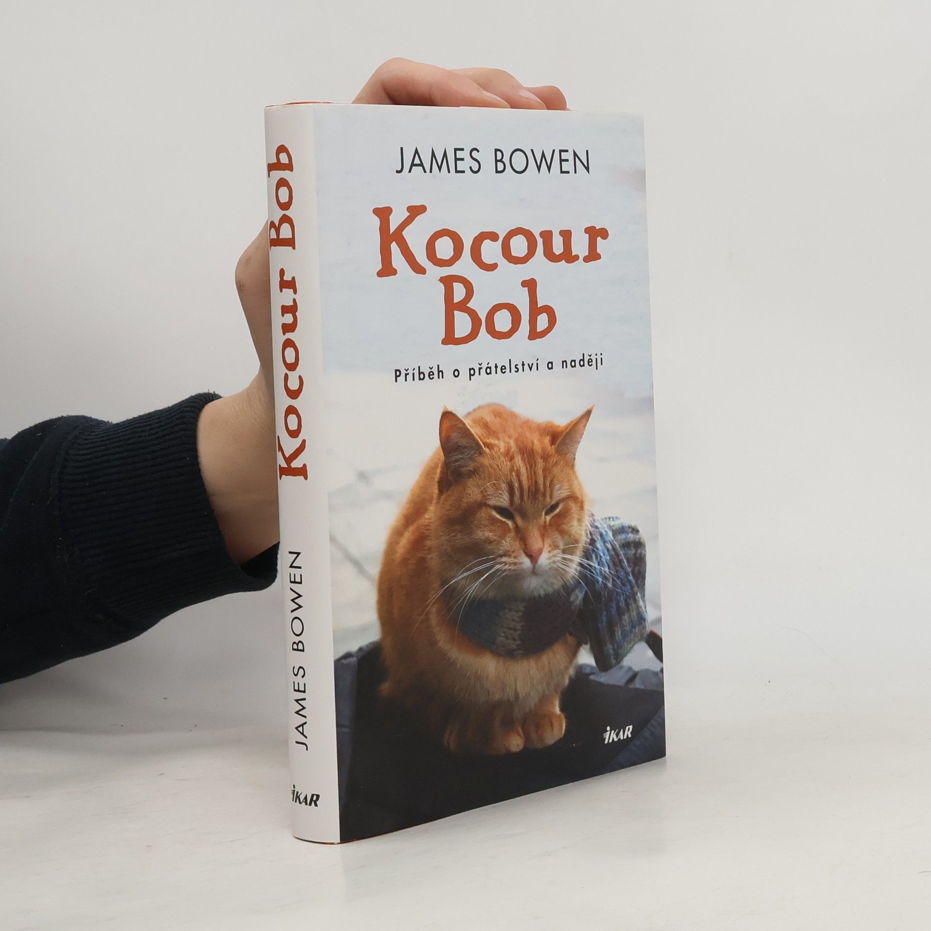 James Bowen Kocour Bob