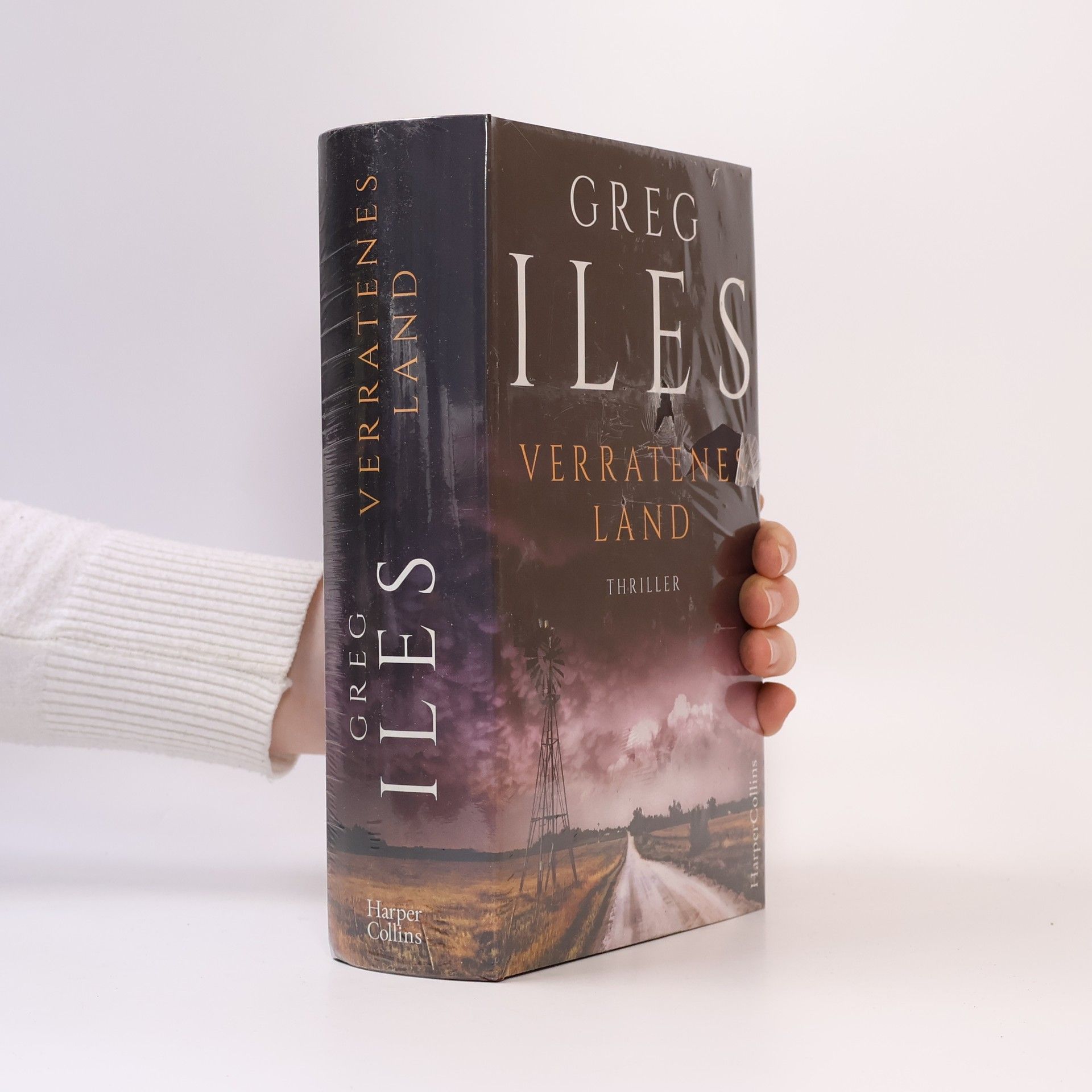 Greg Iles Verratenes Land