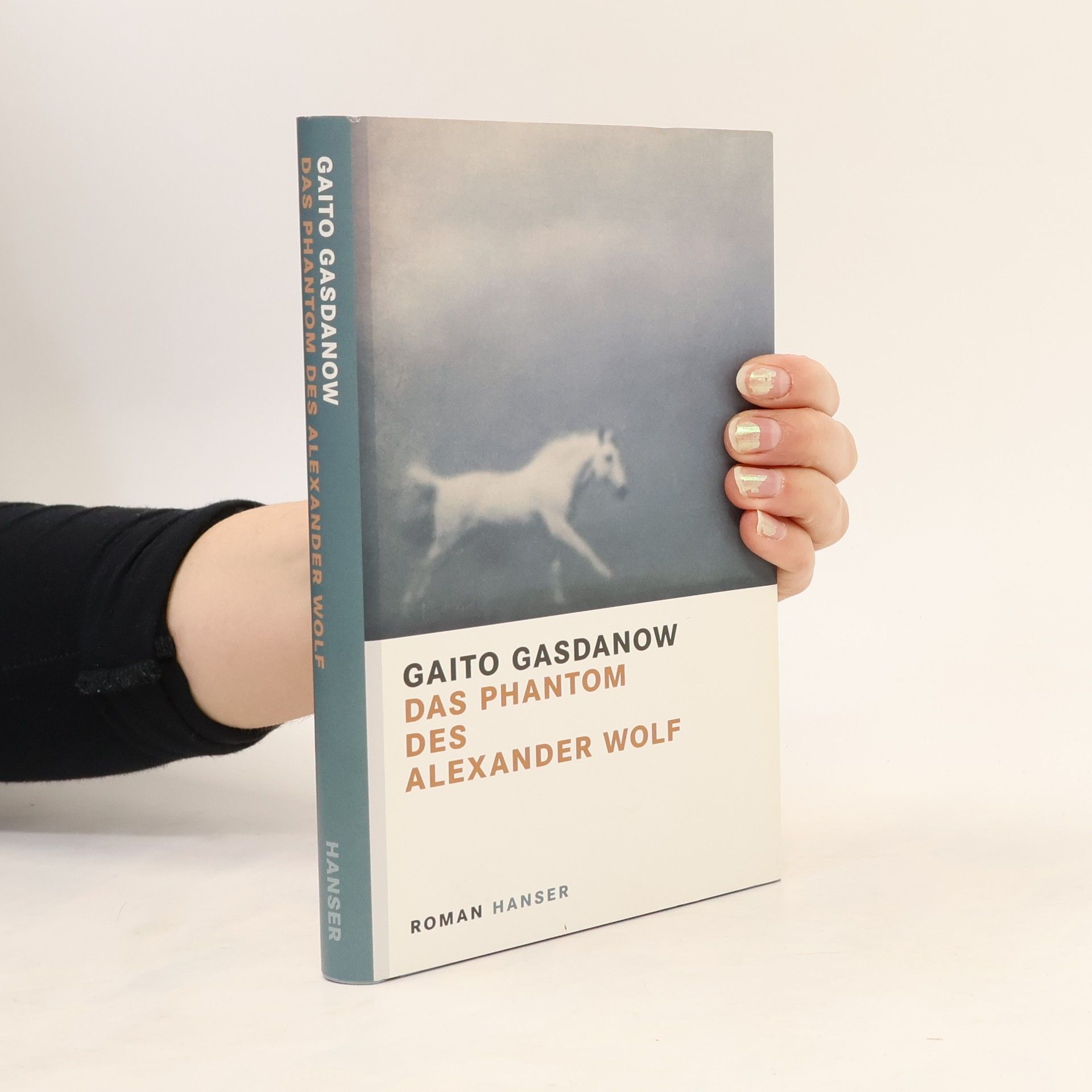 Gaito Gazdanov Das Phantom des Alexander Wolf