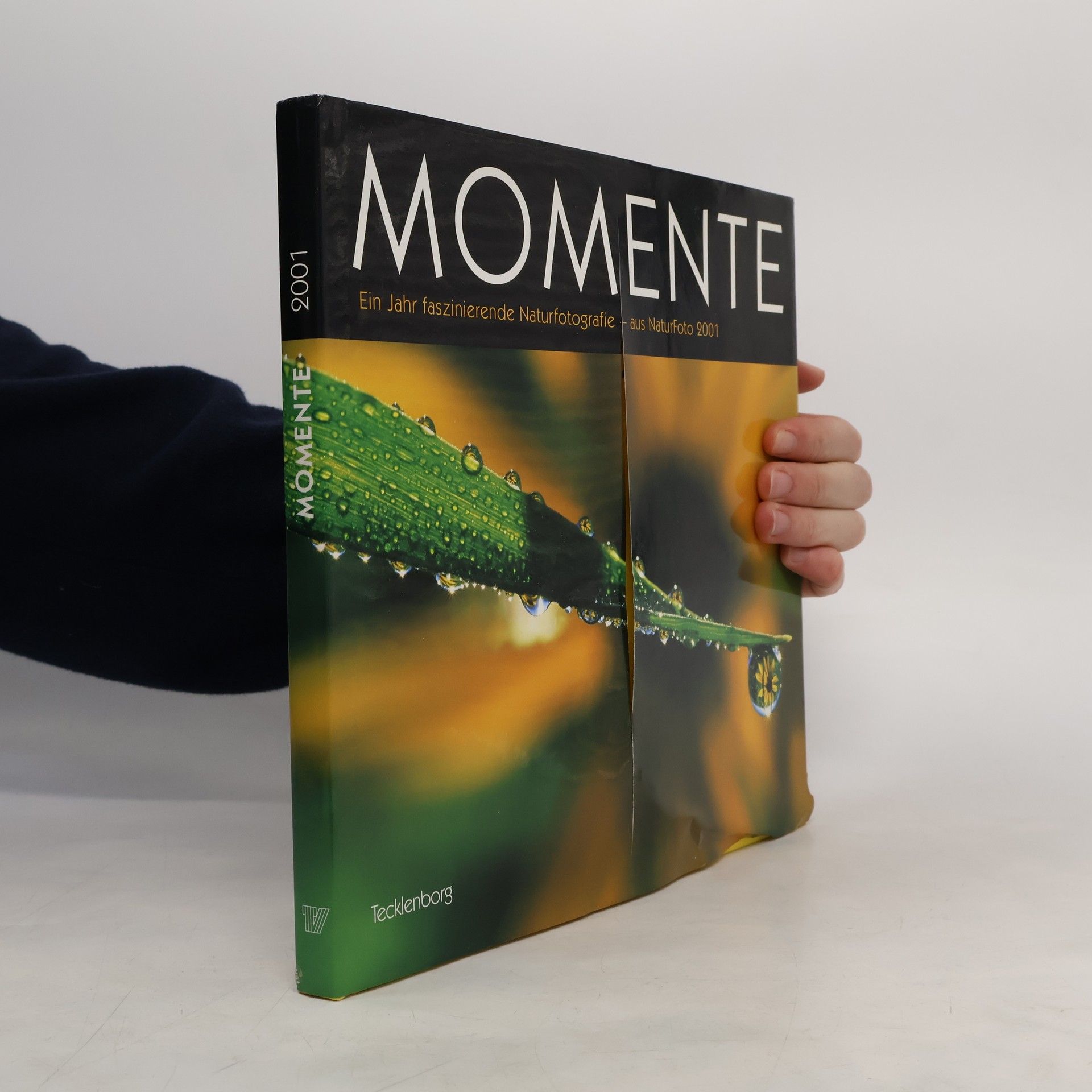 Stefanie Tecklenborg Momente