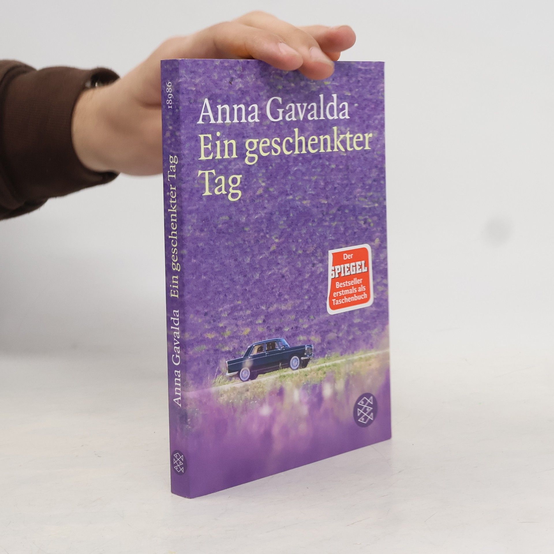 Anna Gavalda Ein geschenkter Tag