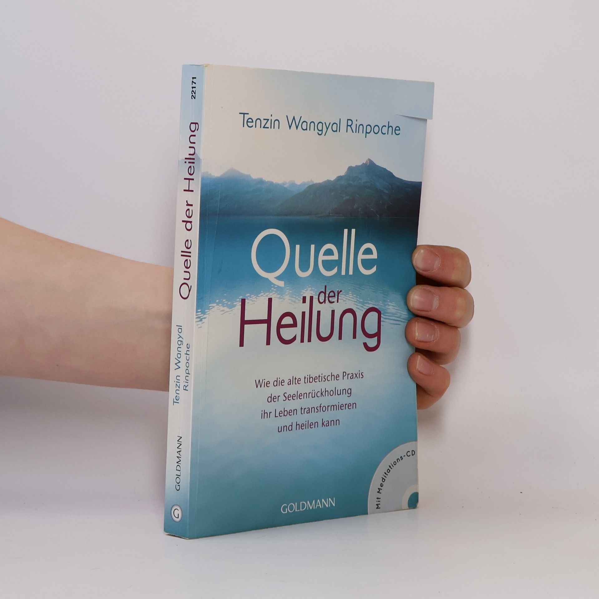 Die Quelle der Heilung, m. Audio-CD