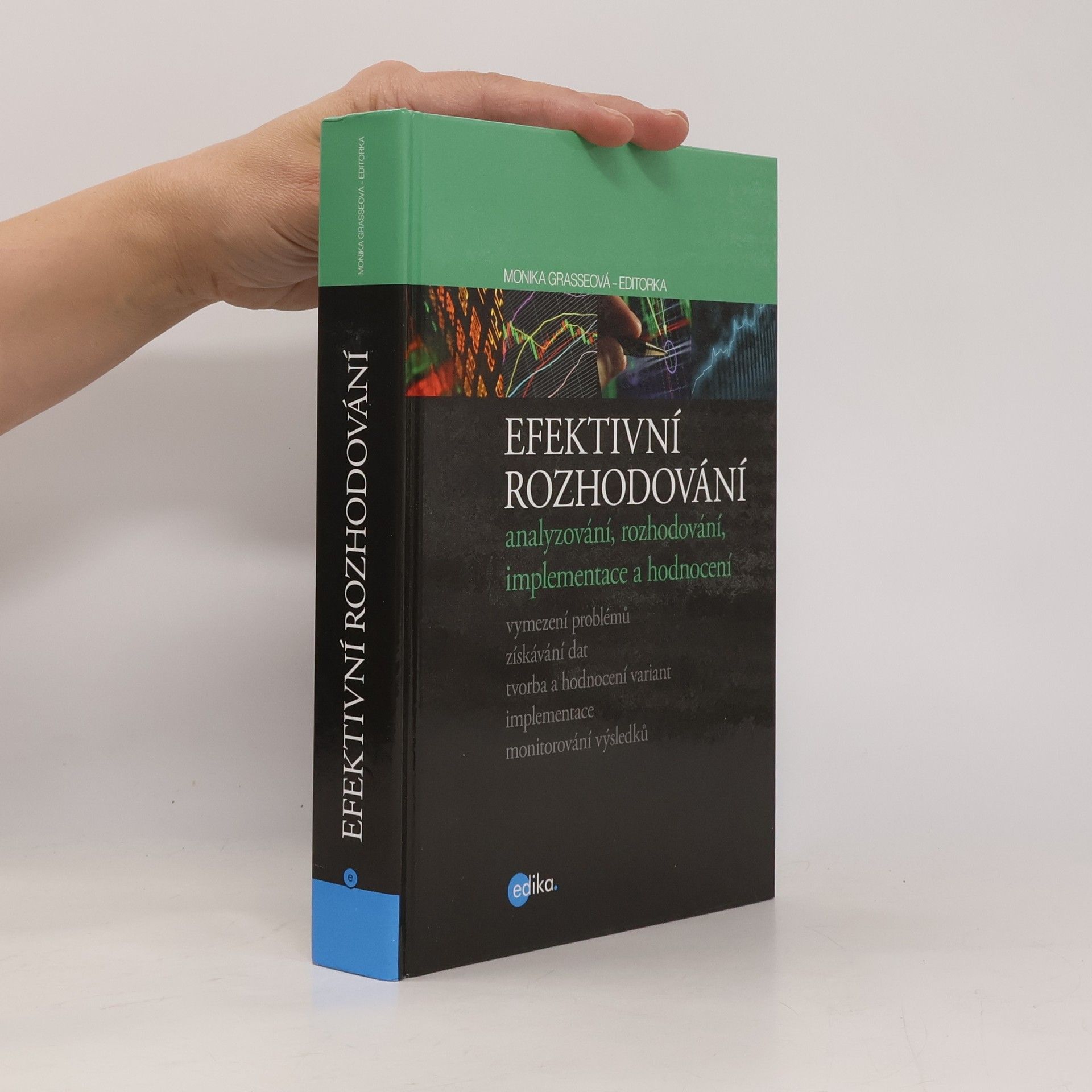 Monika Grasseová Efektivní rozhodování
