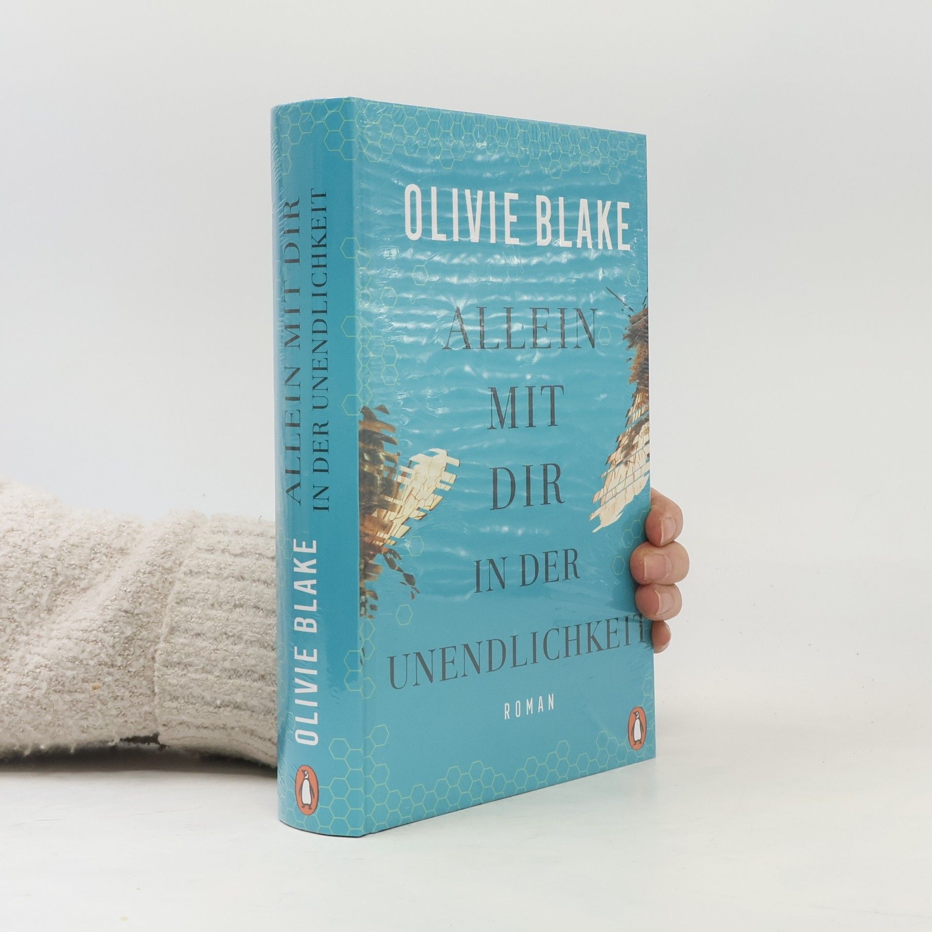Olivie Blake Allein mit dir in der Unendlichkeit