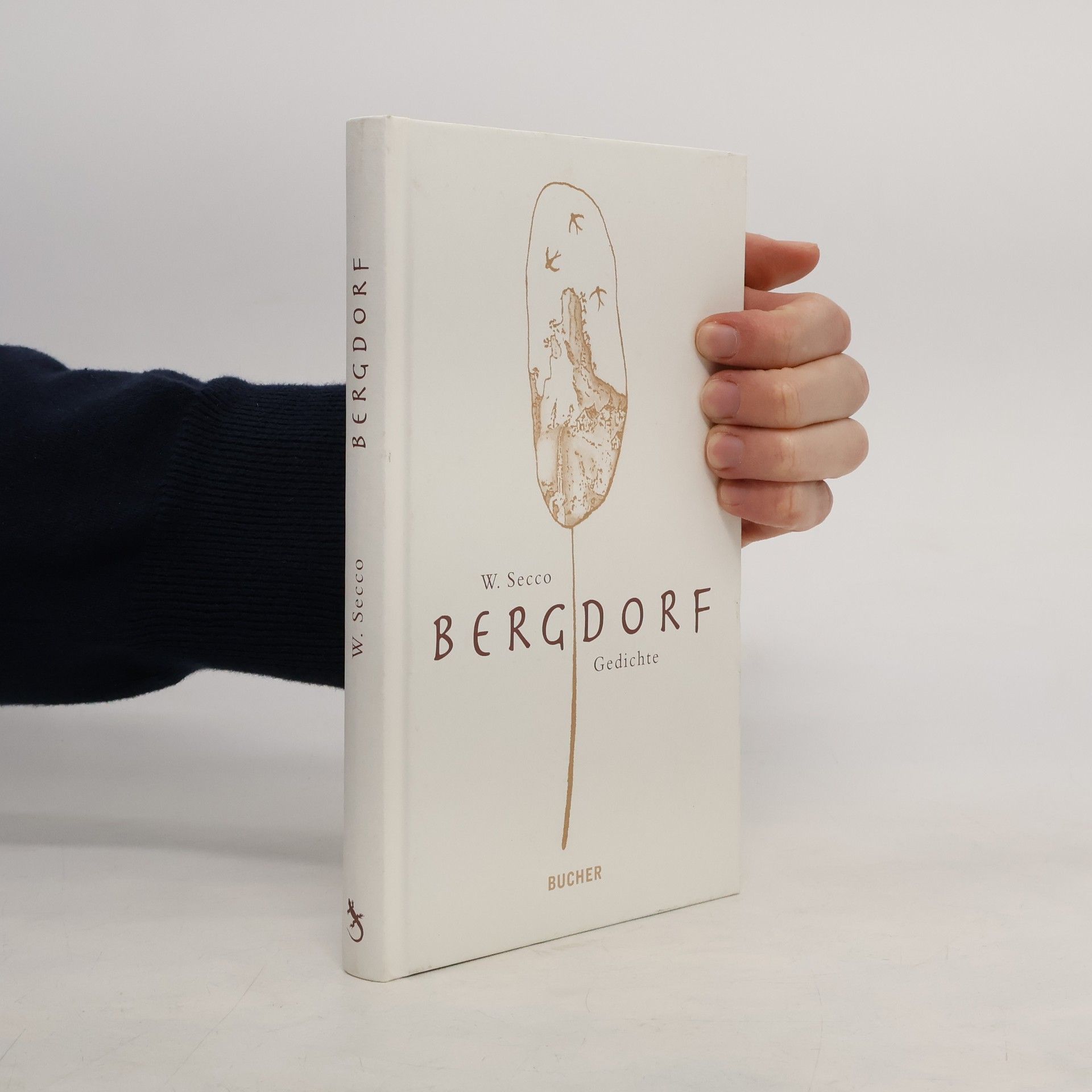 Wolfram Secco Bergdorf